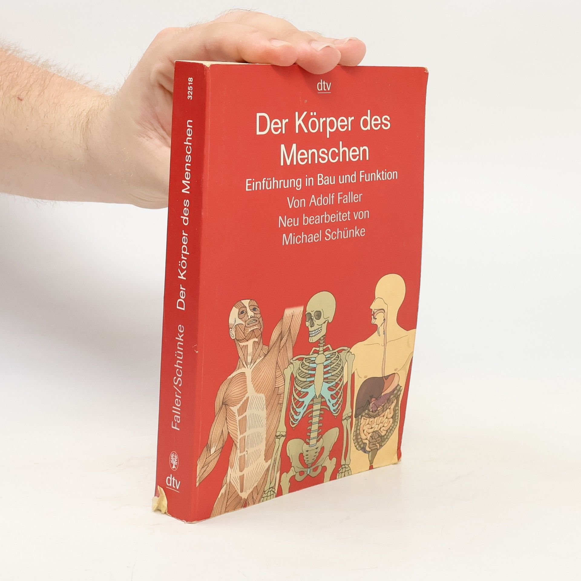 Michael Schünke Der Körper des Menschen