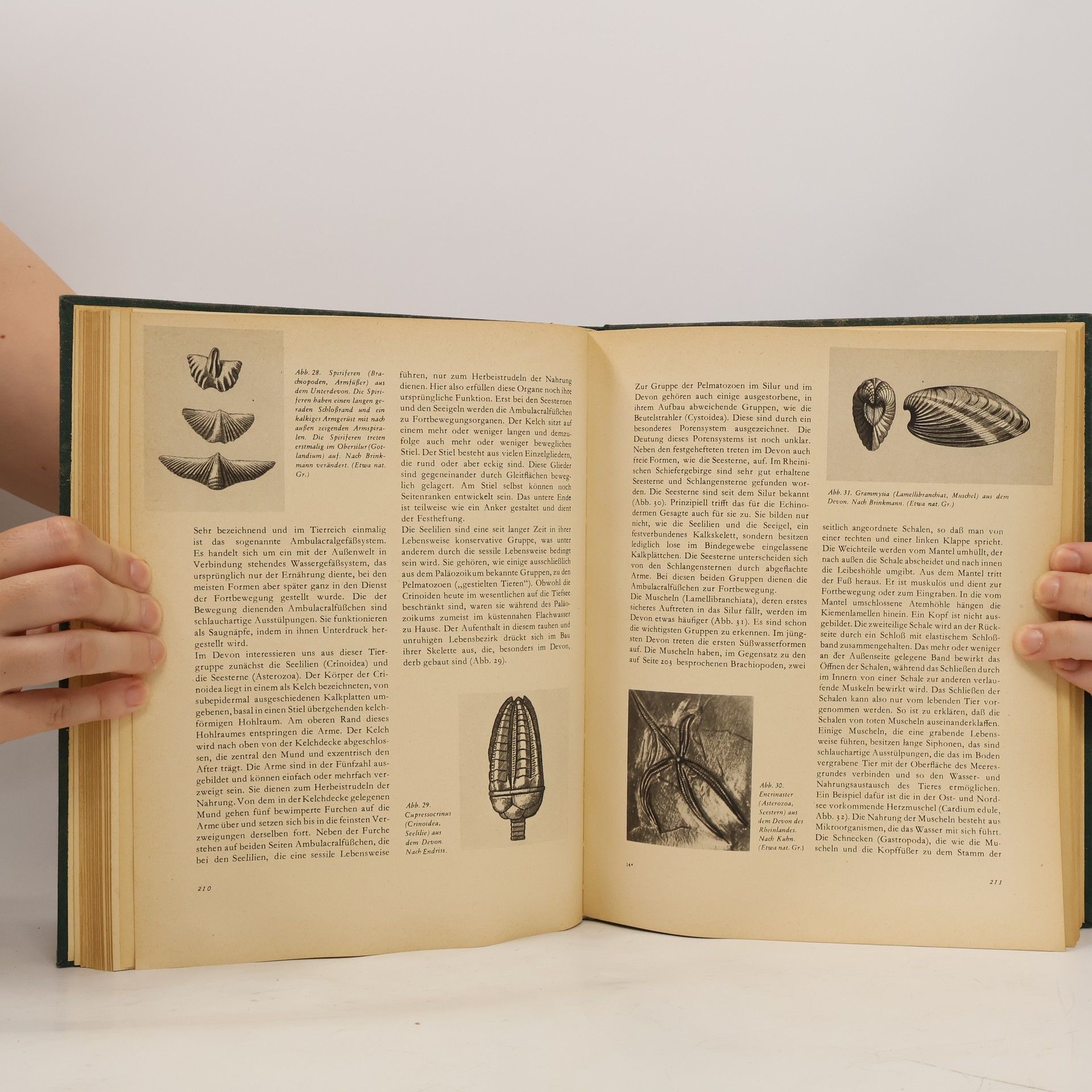 Autores varios Weltall Erde Mensch