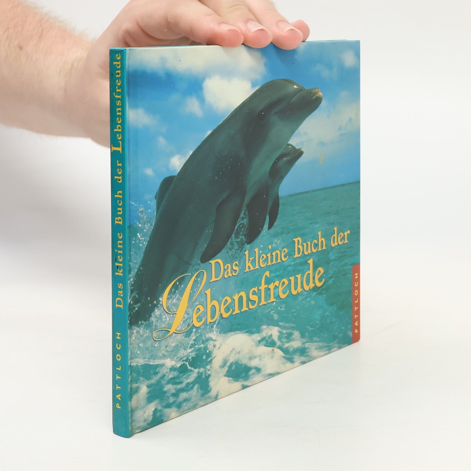 Daniela Meyer Das kleine Buch der Lebensfreude