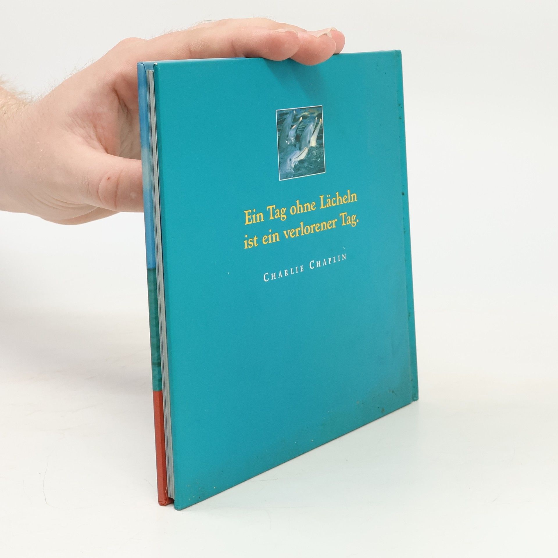 Daniela Meyer Das kleine Buch der Lebensfreude