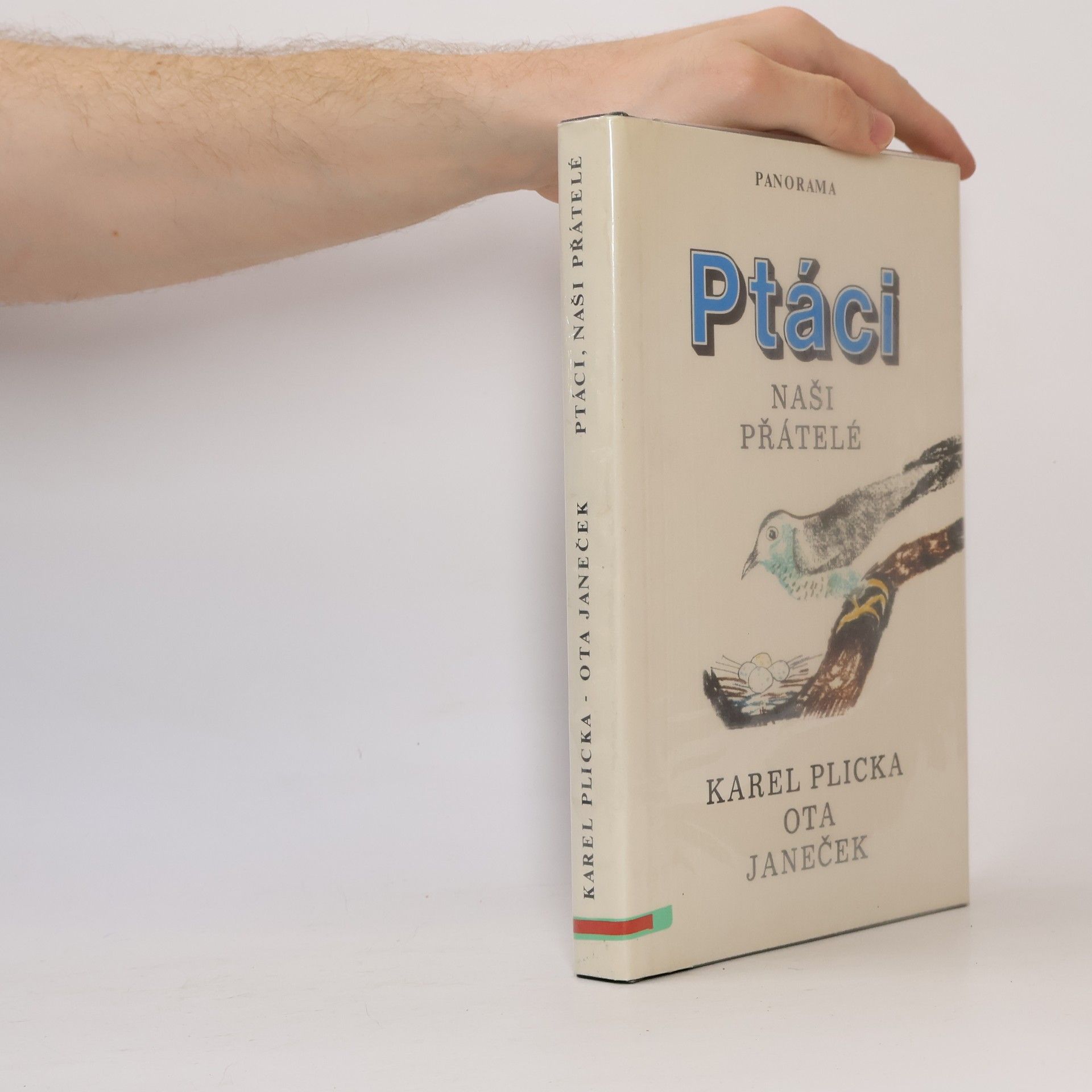 Ptáci. Naši přátelé