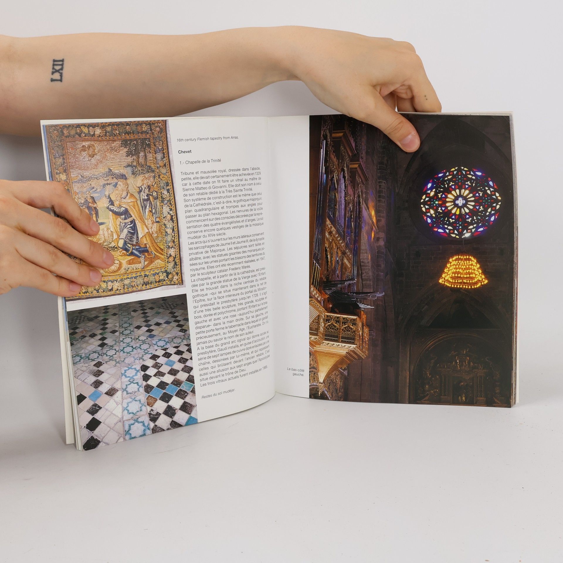Collectif d'auteurs La cathédrale de Mallorca