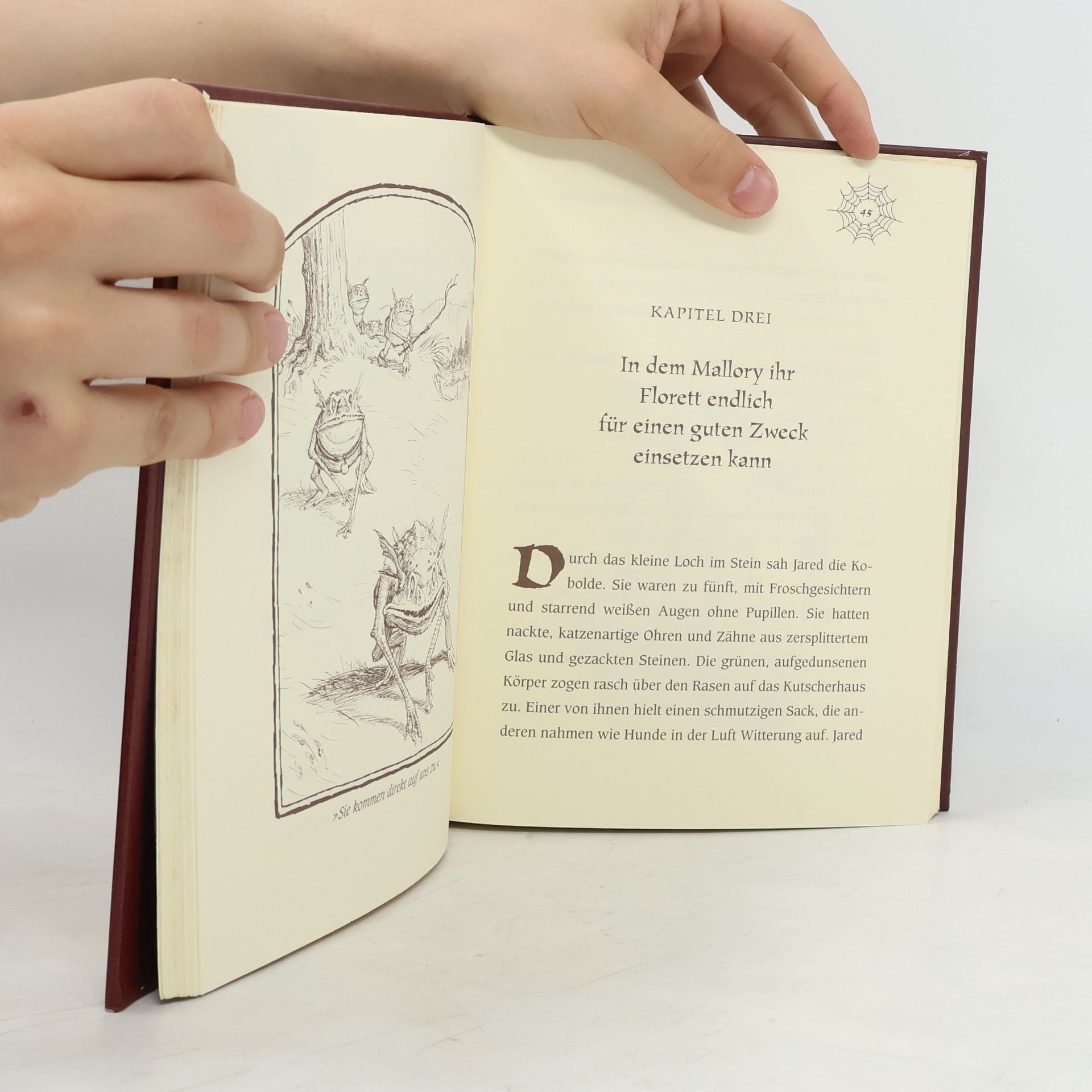 Tony DiTerlizzi Die Spiderwick-Geheimnisse 2. Gefährliche Suche
