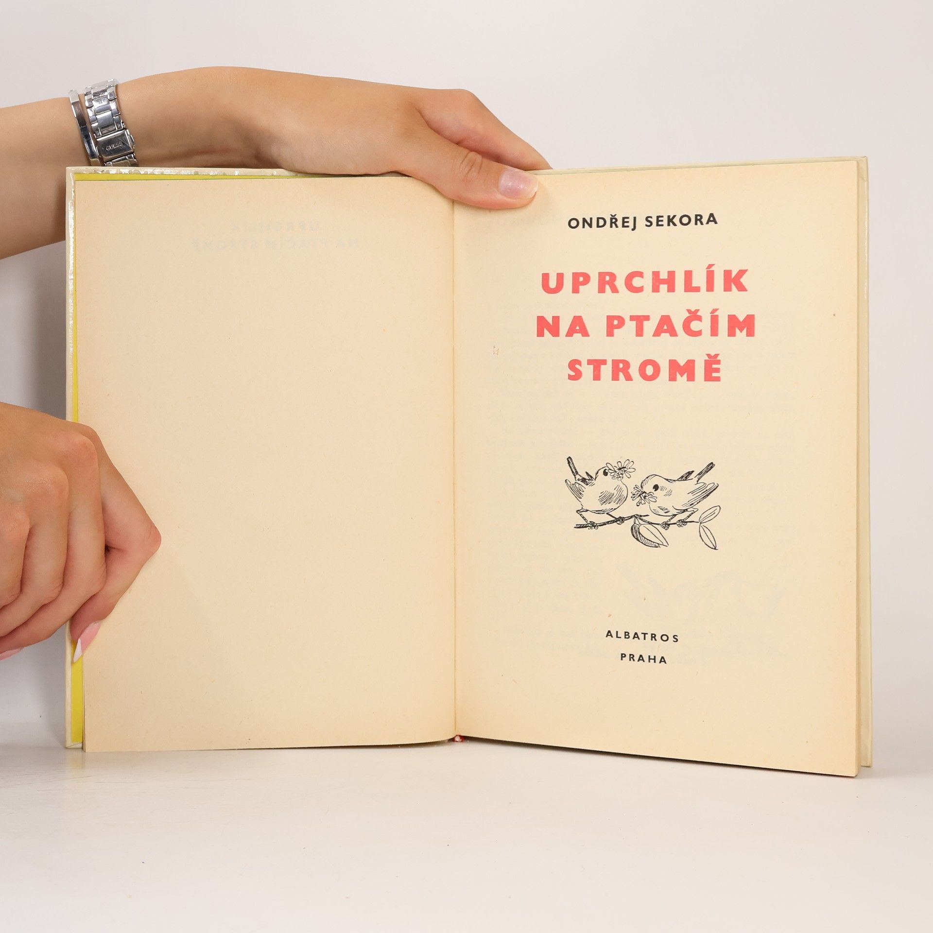 Ondřej Sekora Uprchlík na ptačím stromě