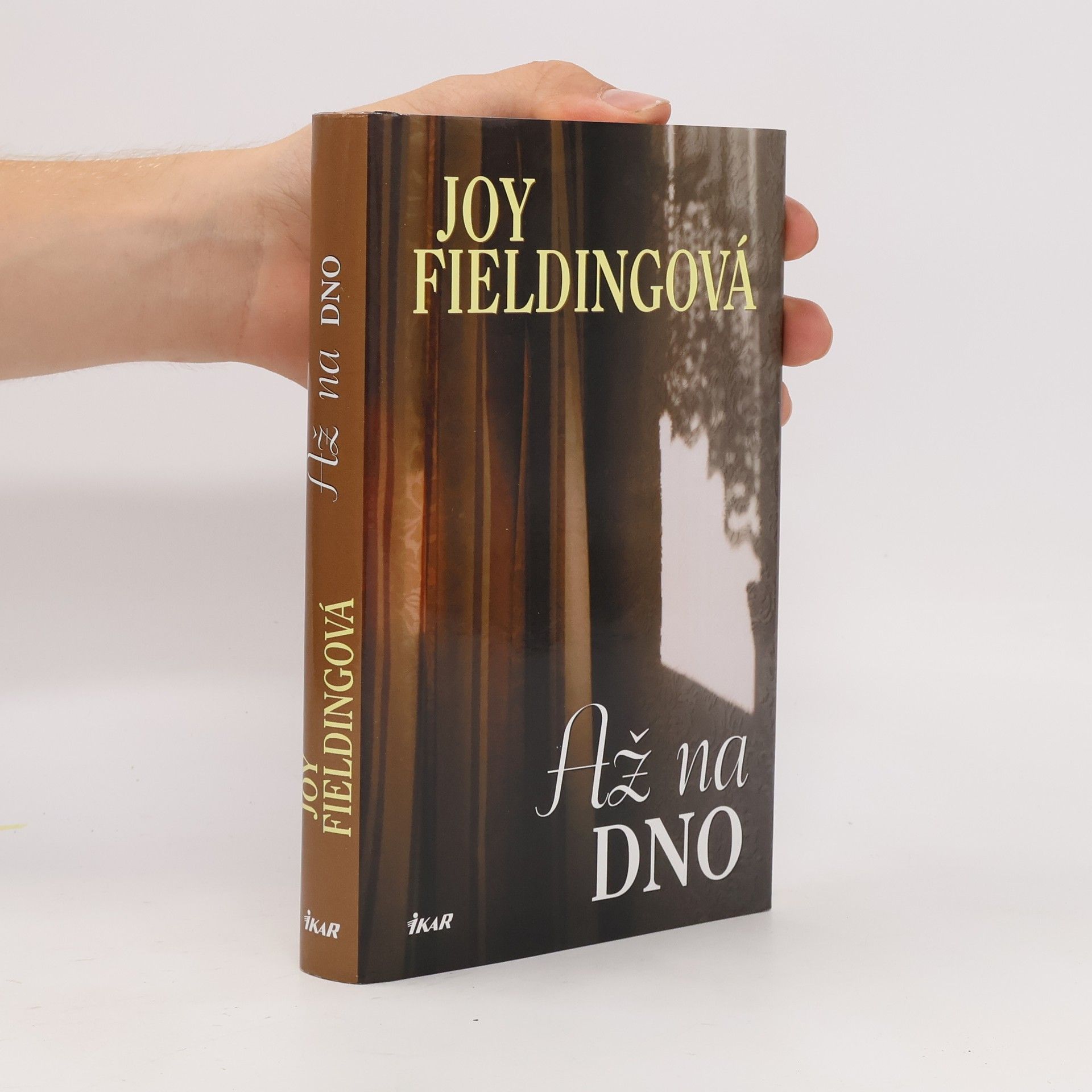 Joy Fielding Až na dno