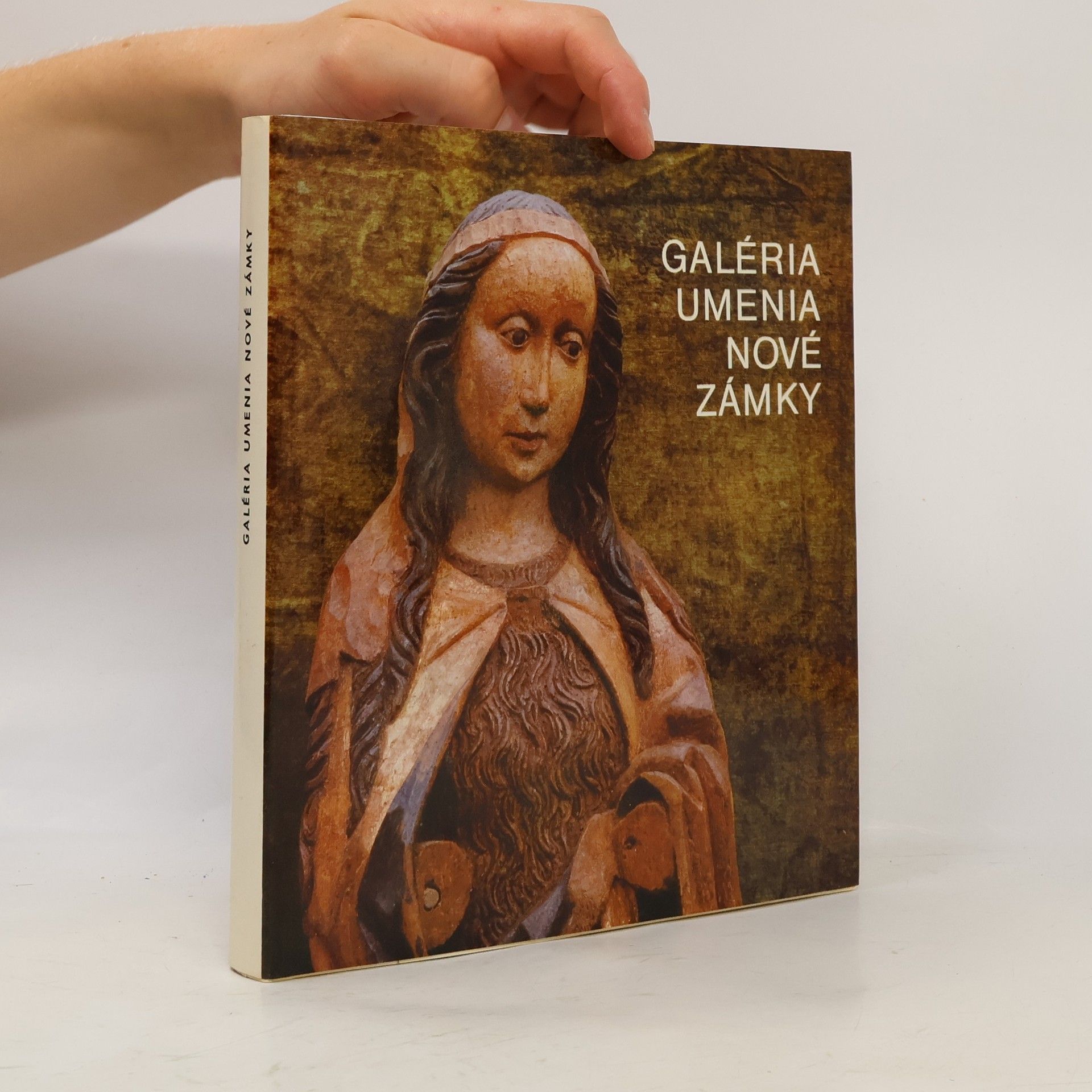 Autorenkollektiv Galéria umenia Nové zámky. Katalóg diel darovaných Ernestom Zmetákom a Danicou Zmetákovou