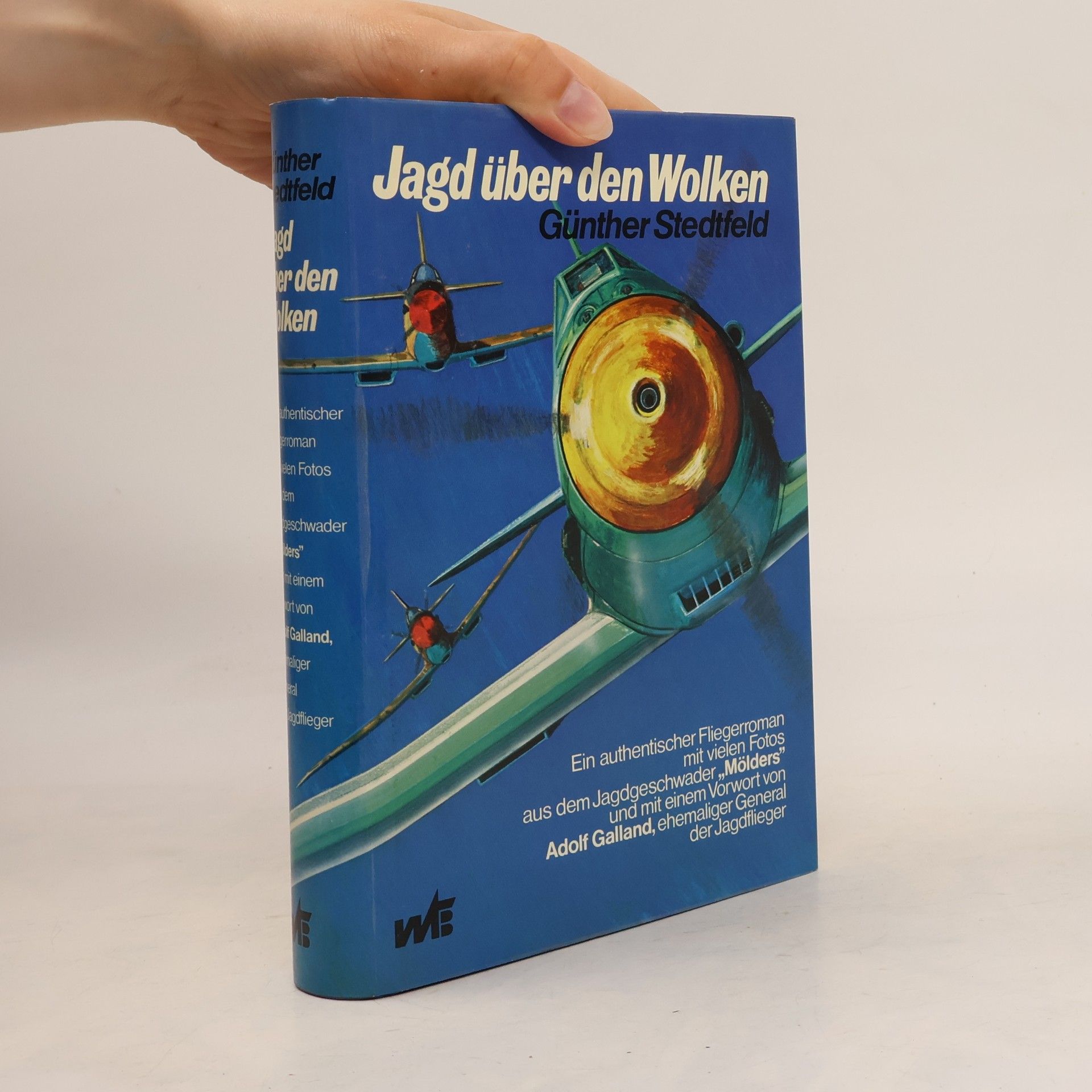 Günter Stedtfeld Jagd über den Wolken