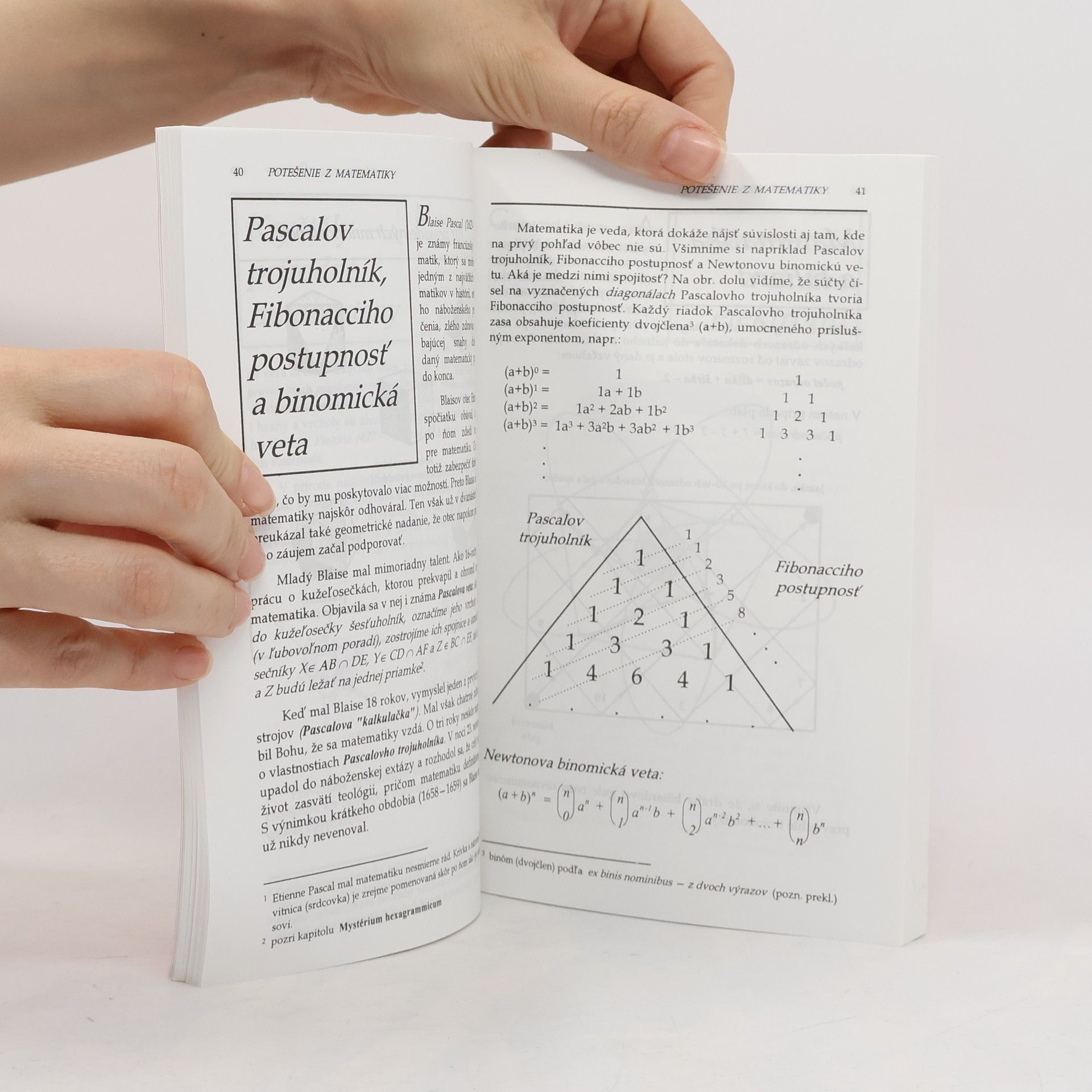 Theoni Pappas Potešenie z matematiky