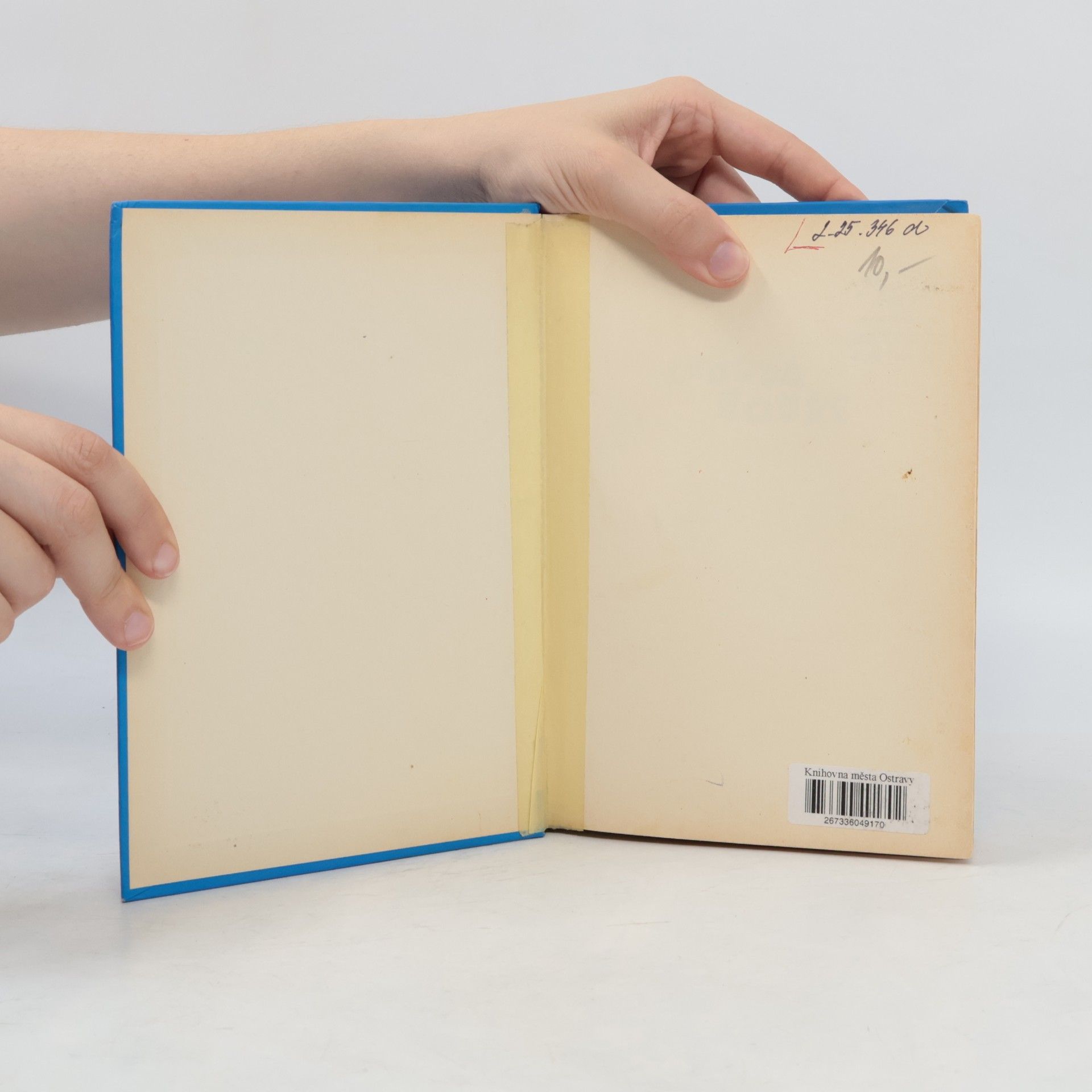 Rick Moody Ledová bouře