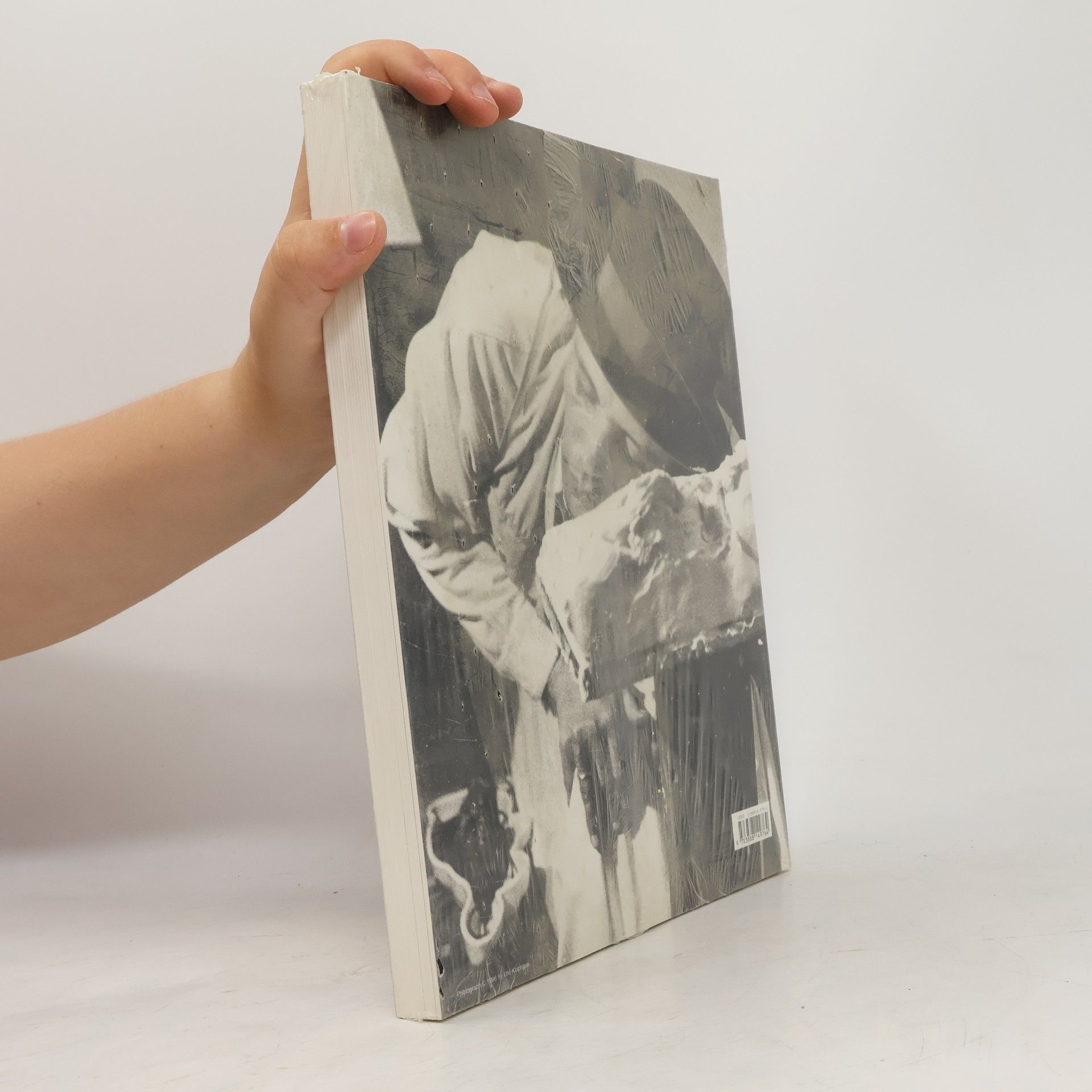 Joseph Beuys Eine Werkübersicht