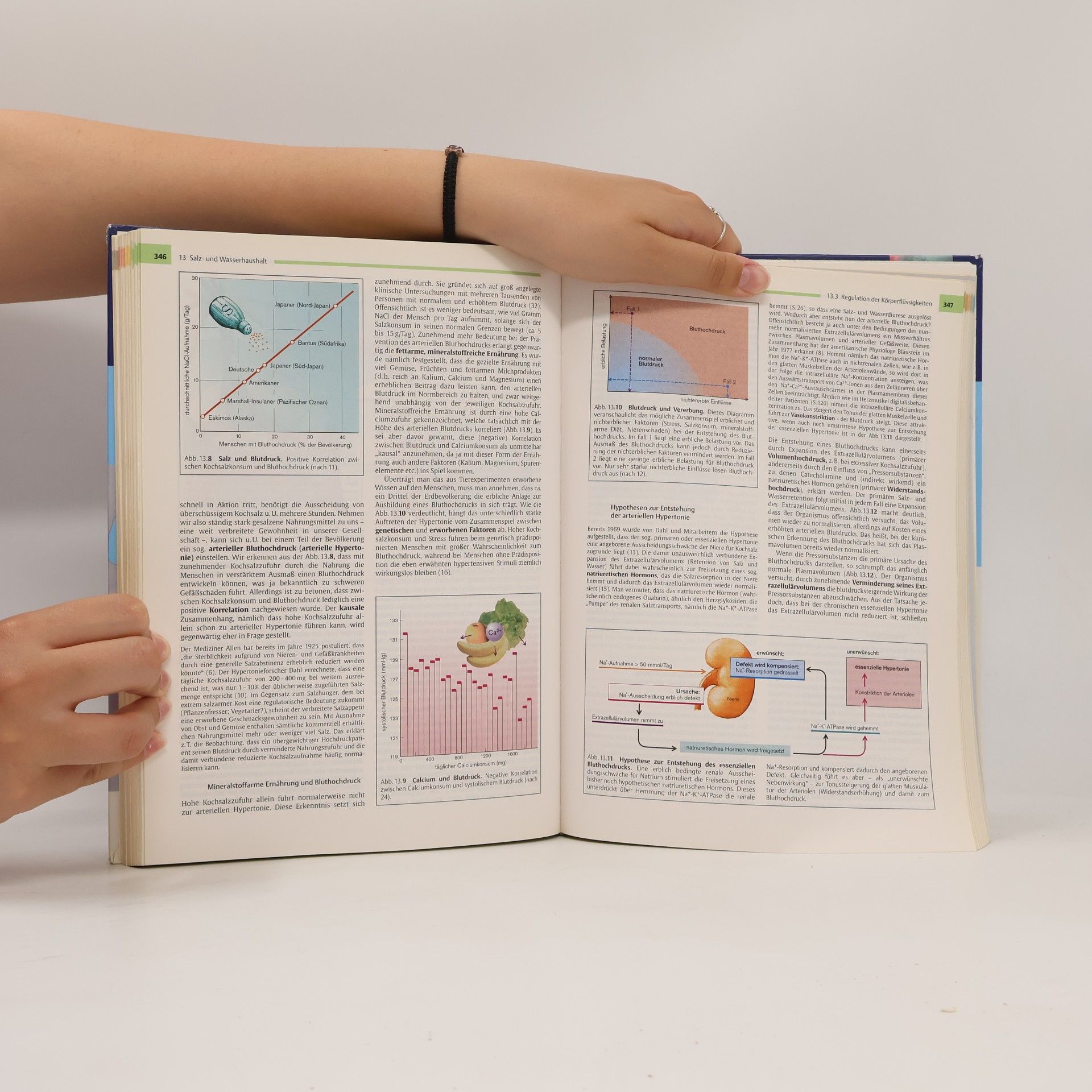 Rainer Klinke Lehrbuch der Physiologie