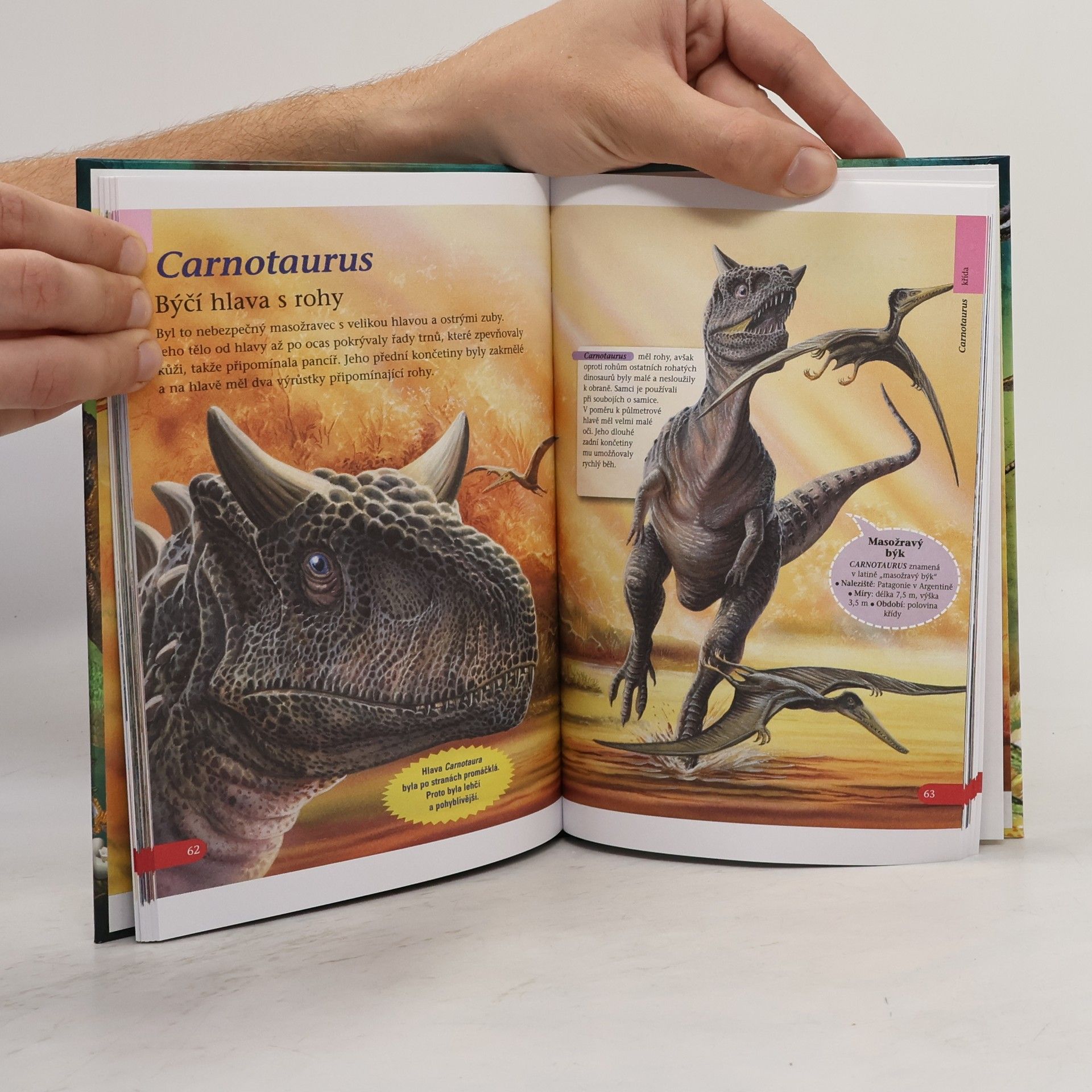 Autorenkollektiv Dinosauři