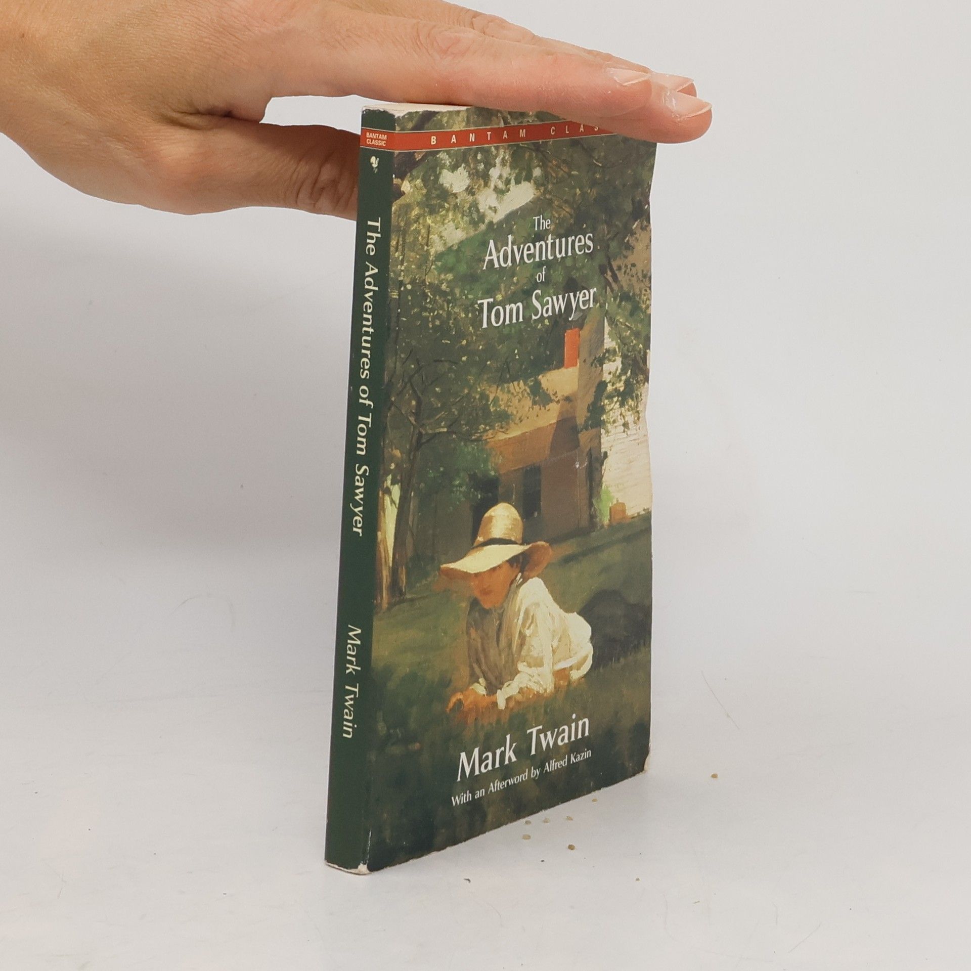 Mark Twain The Adventures of Tom Sawyer