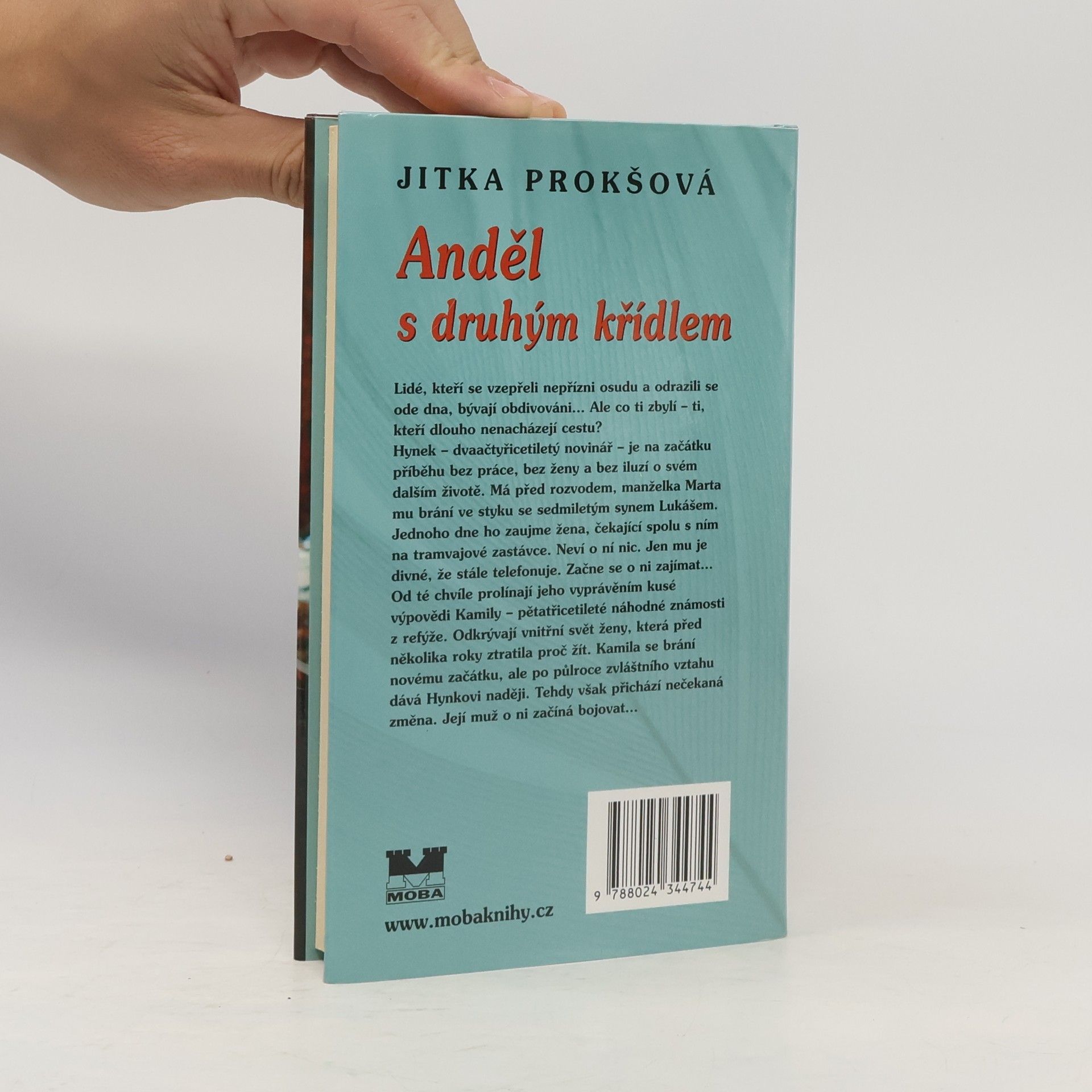 Jitka Prokšová Anděl s druhým křídlem