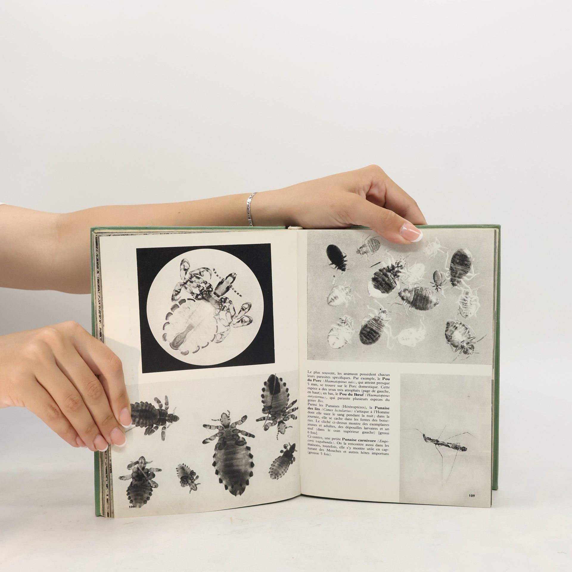 Autorenkollektiv Encyclopédie illustrée du monde animal