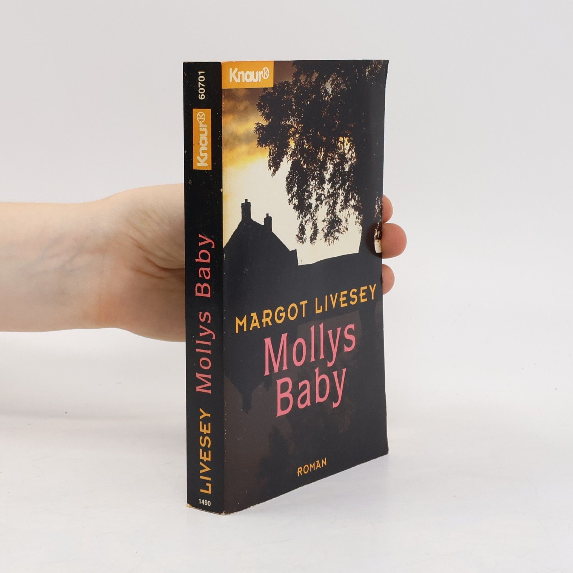 Margot Livesey Mollys Baby
