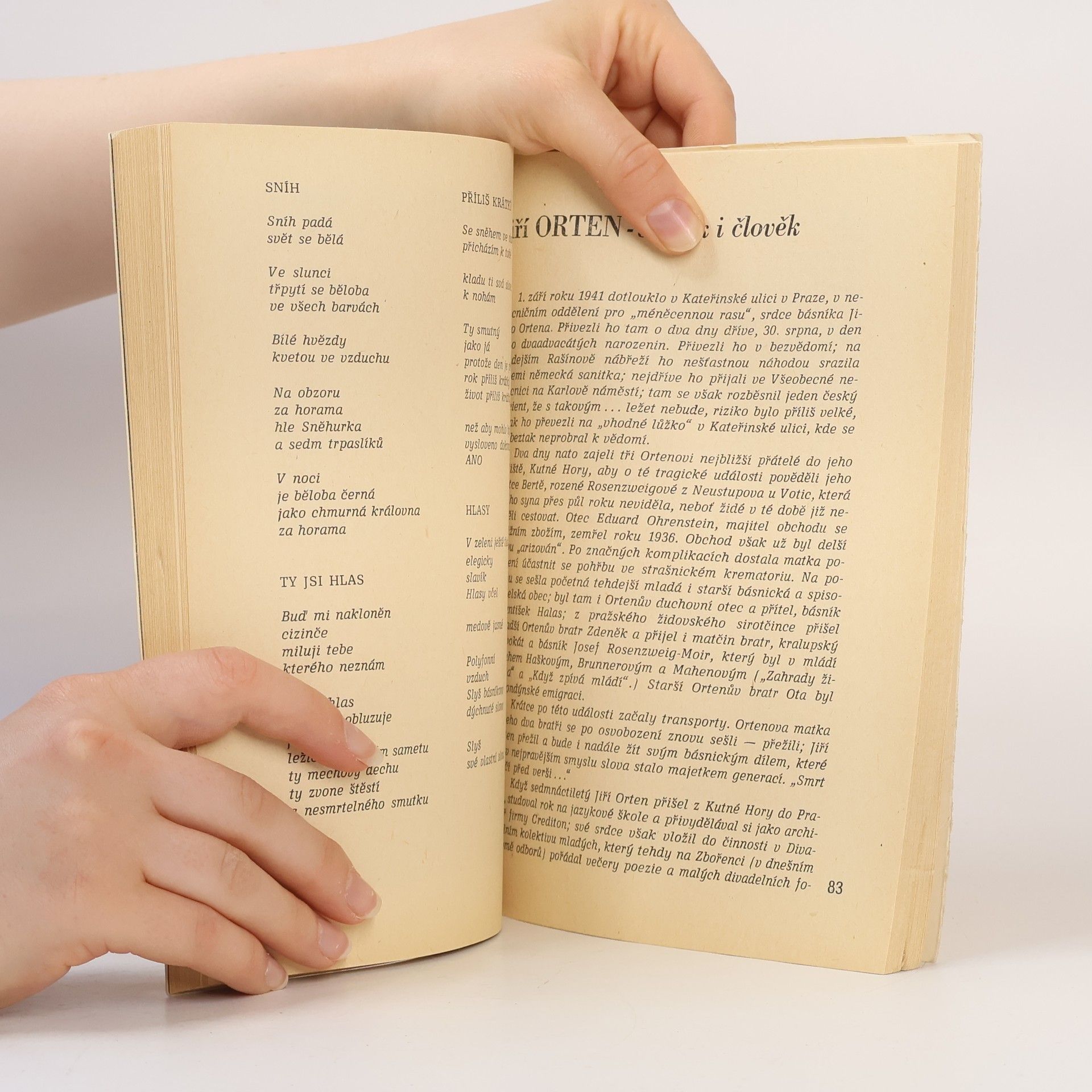 Autorenkollektiv Židovská ročenka 5741-1981