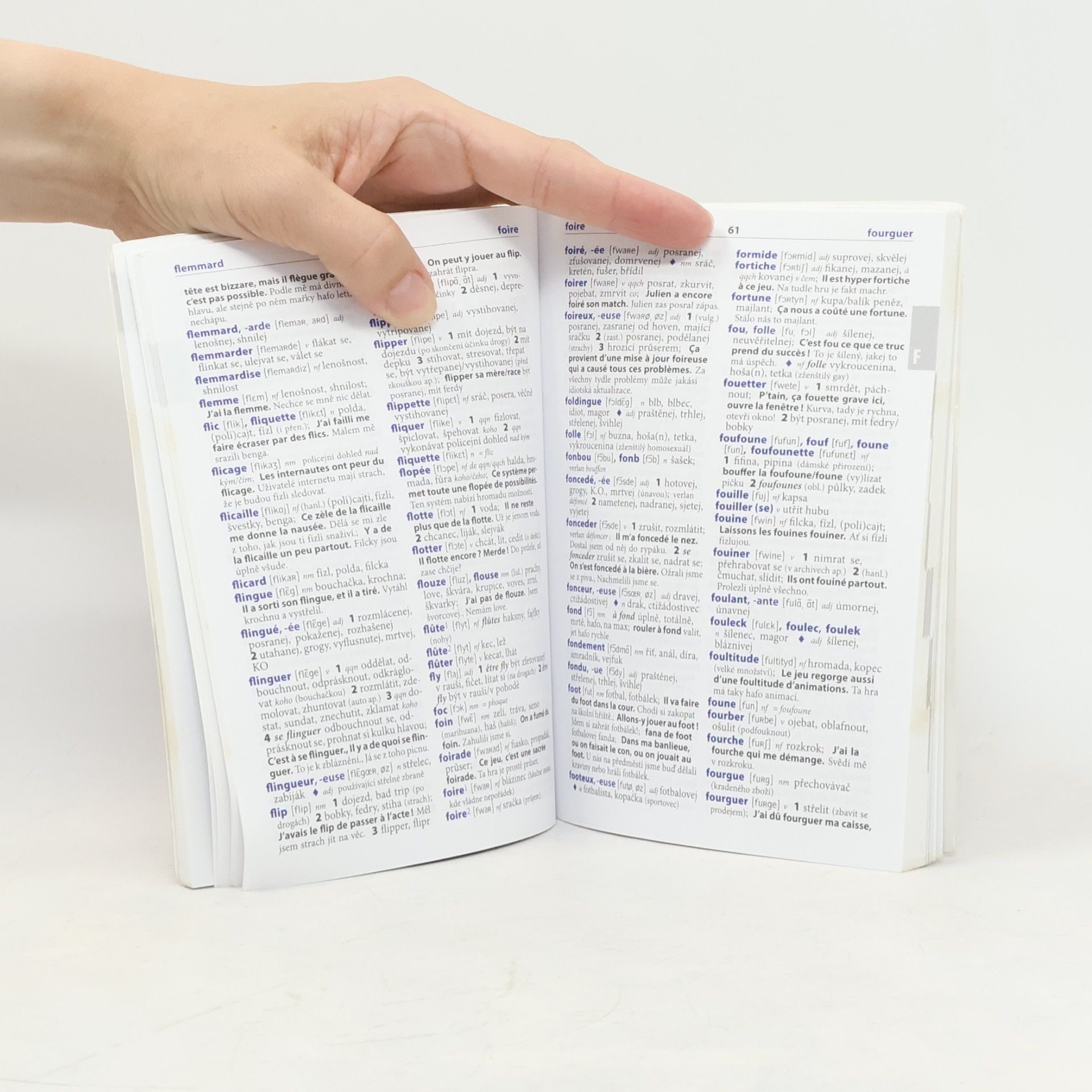 Autorenkollektiv Pas de bleme!: slovník slangu a hovorové francouzštiny