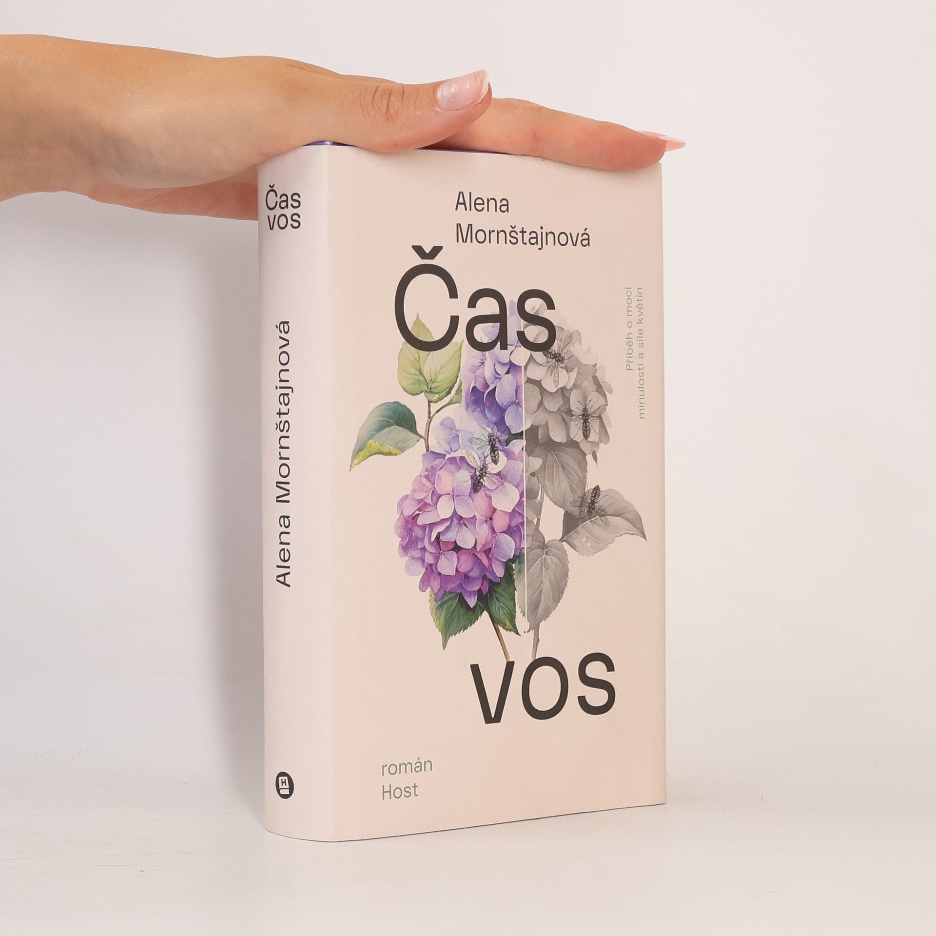 Alena Mornštajnová Čas vos