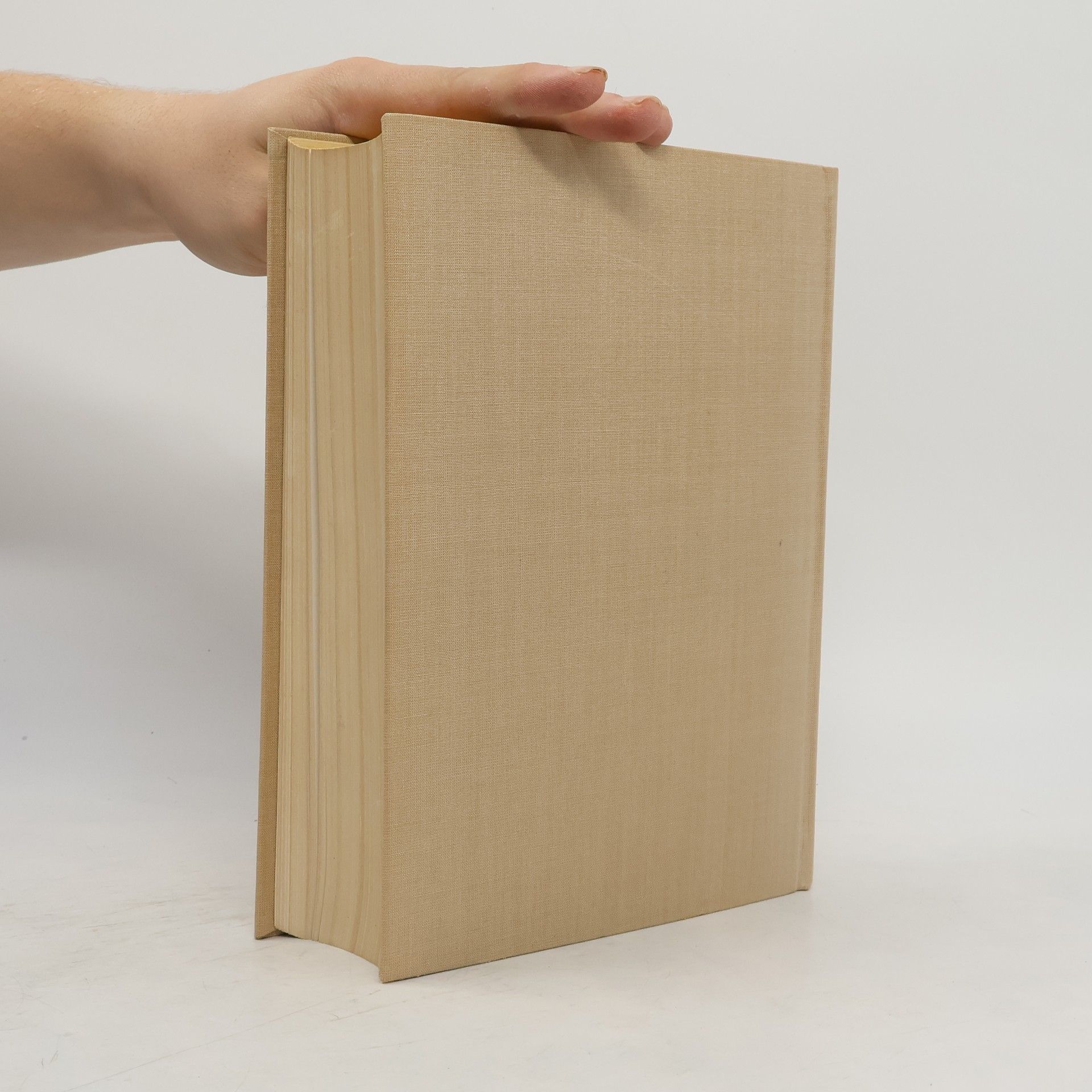 Richard Hamann Geschichte der Kunst 2
