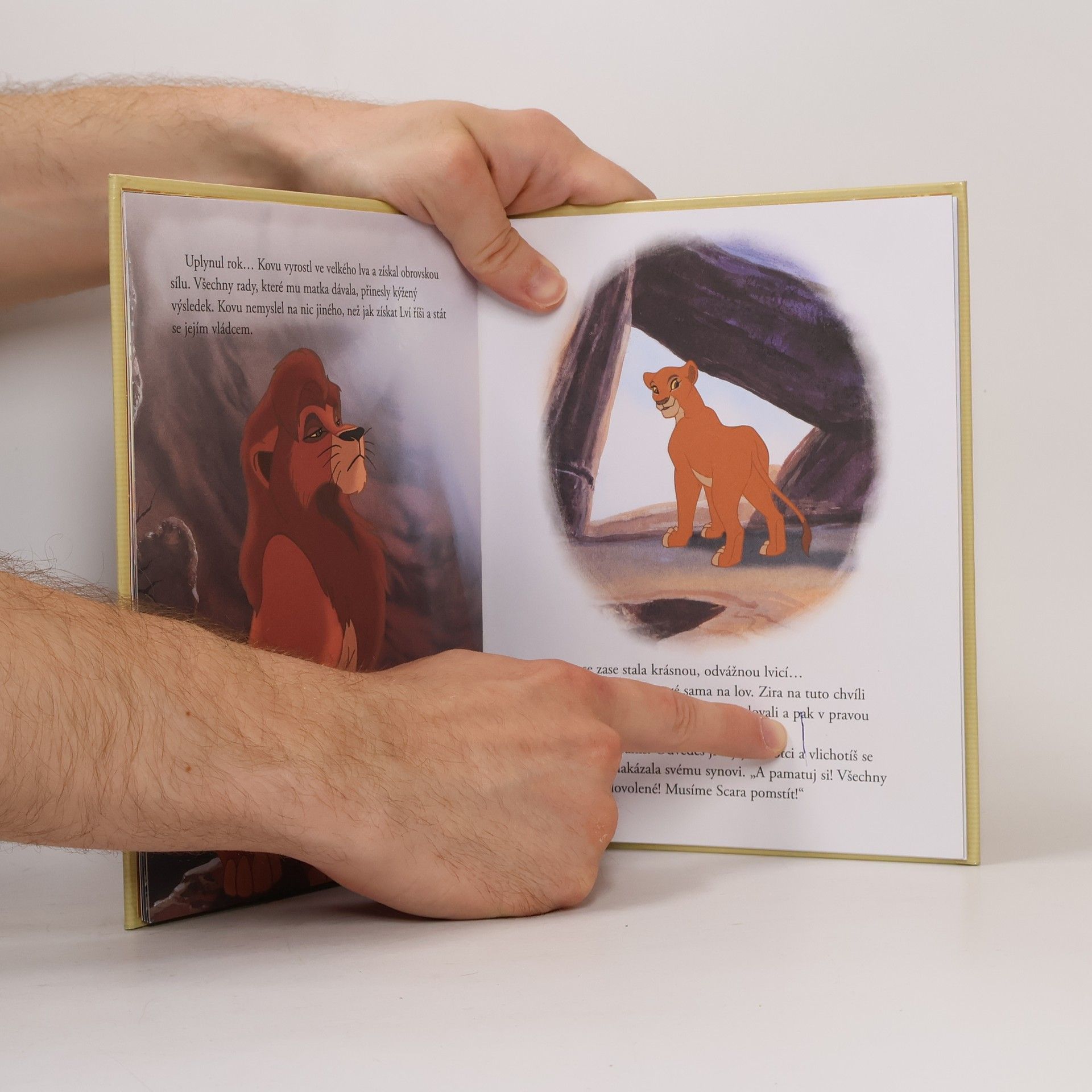 Various authors Lví král 2. Simbův příběh