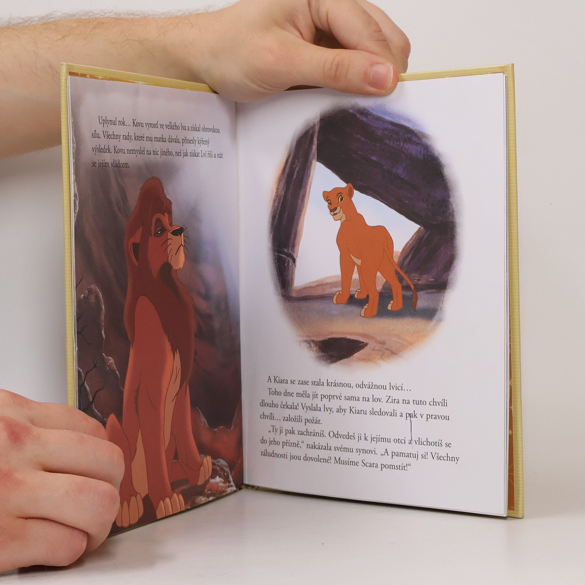Various authors Lví král 2. Simbův příběh
