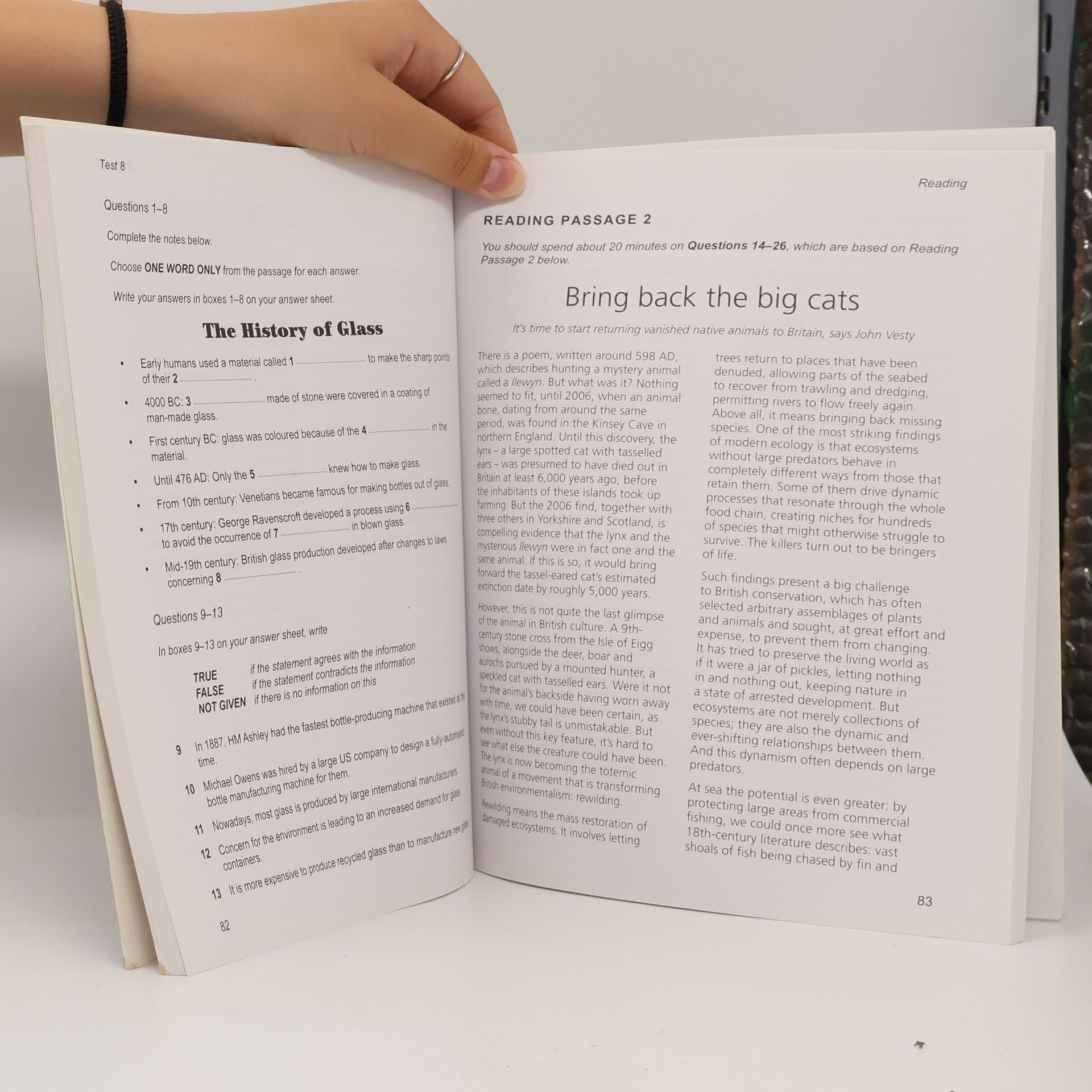 Autorenkollektiv IELTS 12. Academic