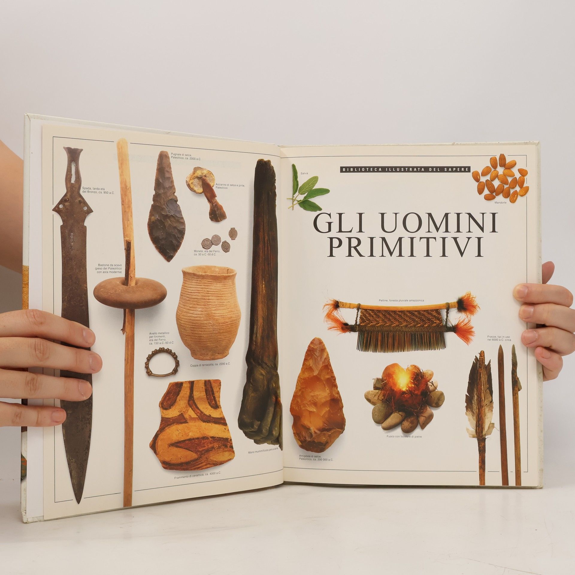 Kolektiv autorů Gli uomini primitivi