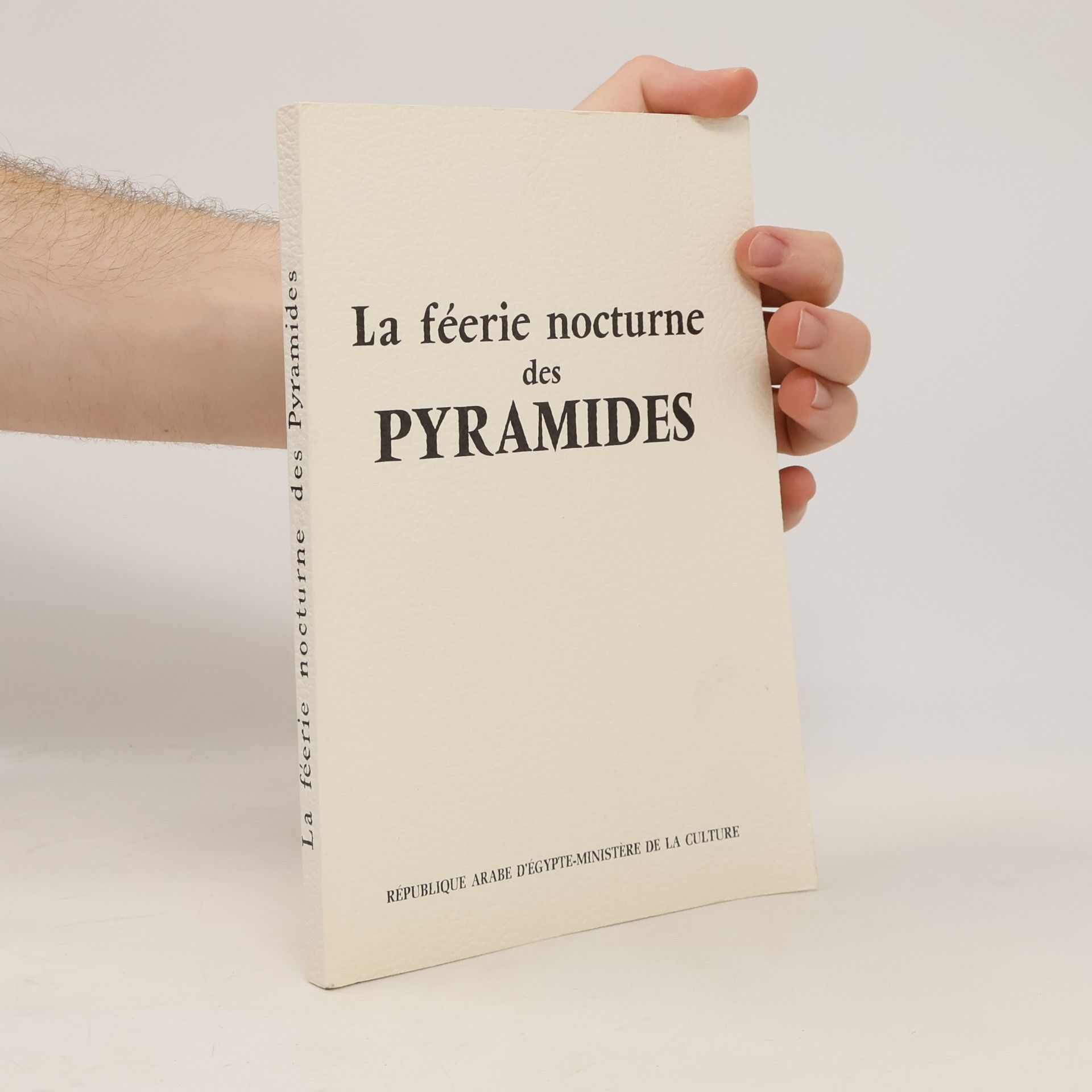 Autorenkollektiv La féerie nocturne des Pyramides