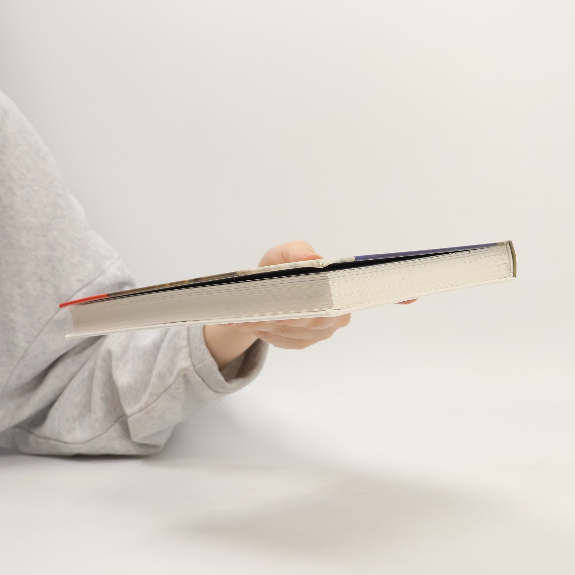 Günther S. Wegener 6000 Jahre und ein Buch. Die Bibel, Biographie eines Bestsellers