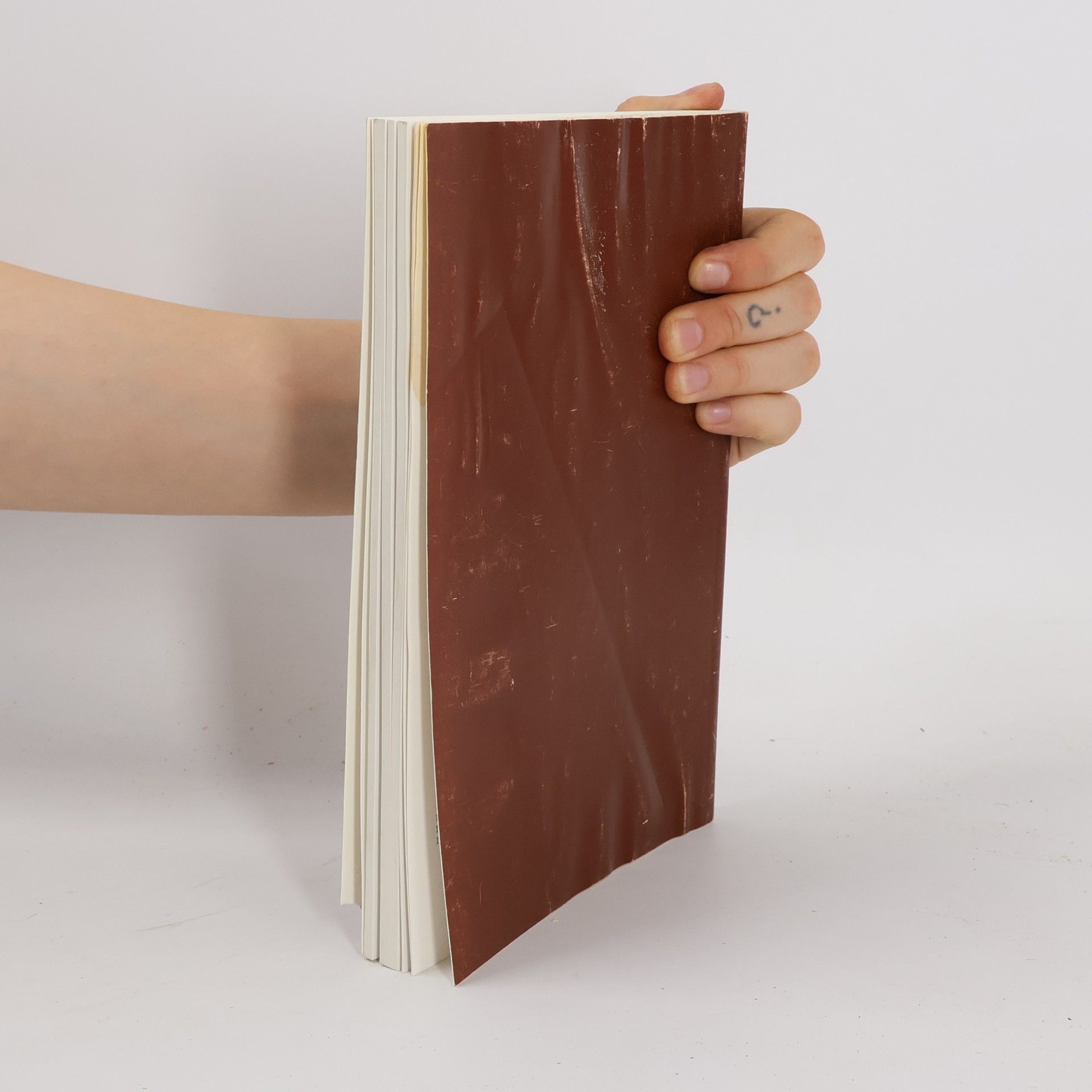 Stift Gottweig Das Wort ward Bild