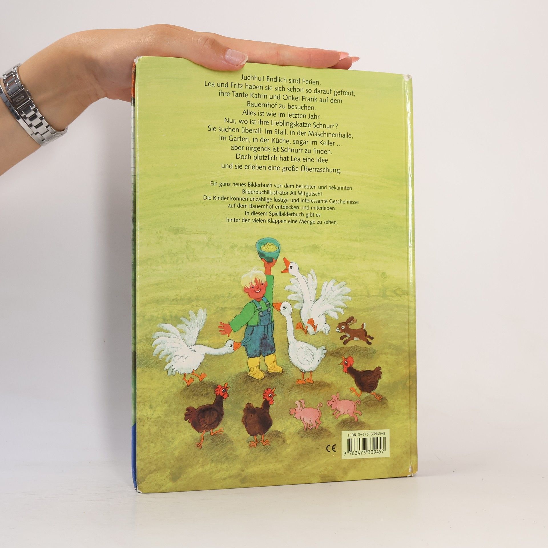 Ali Mitgutsch Das große Bauernhof-Spielbuch