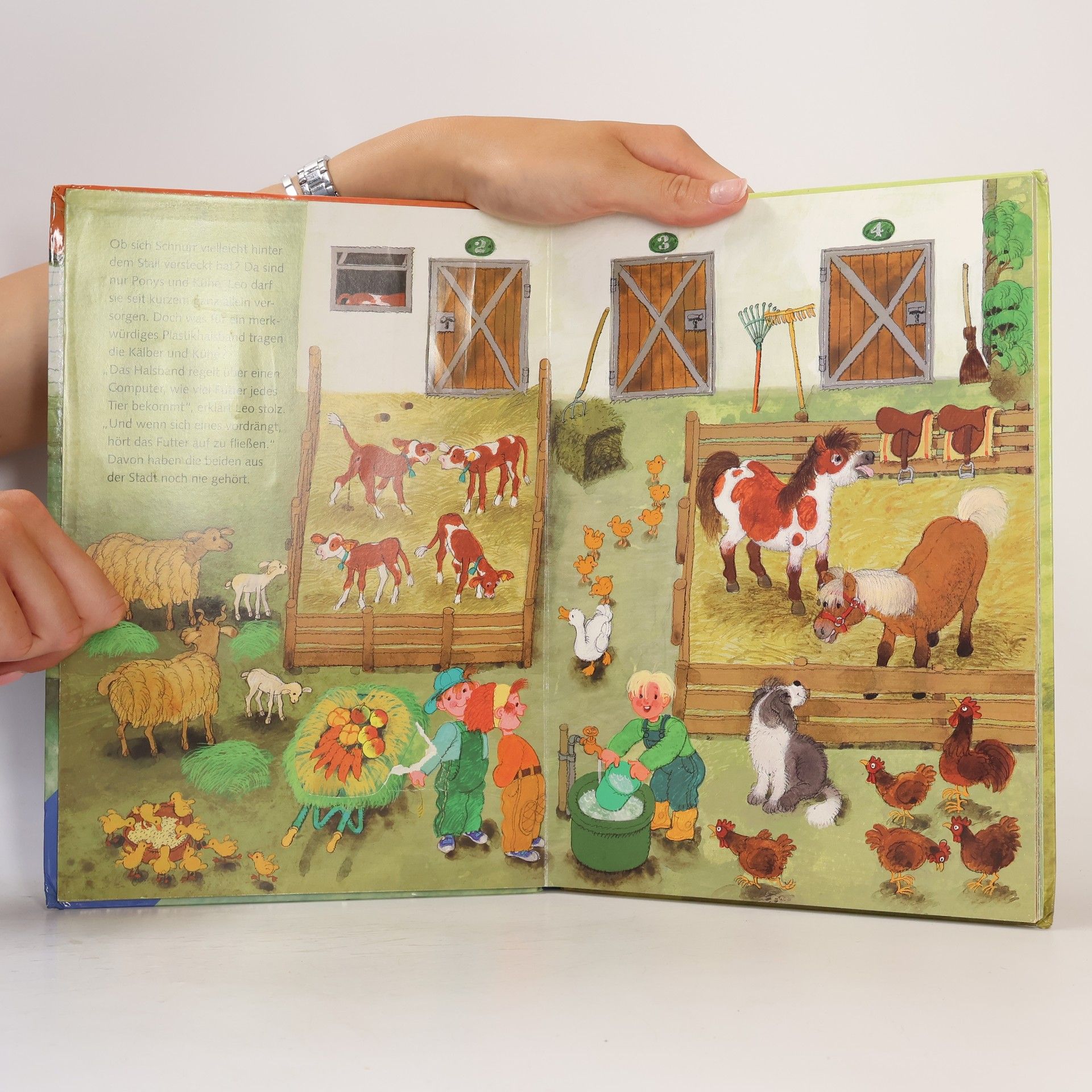 Ali Mitgutsch Das große Bauernhof-Spielbuch