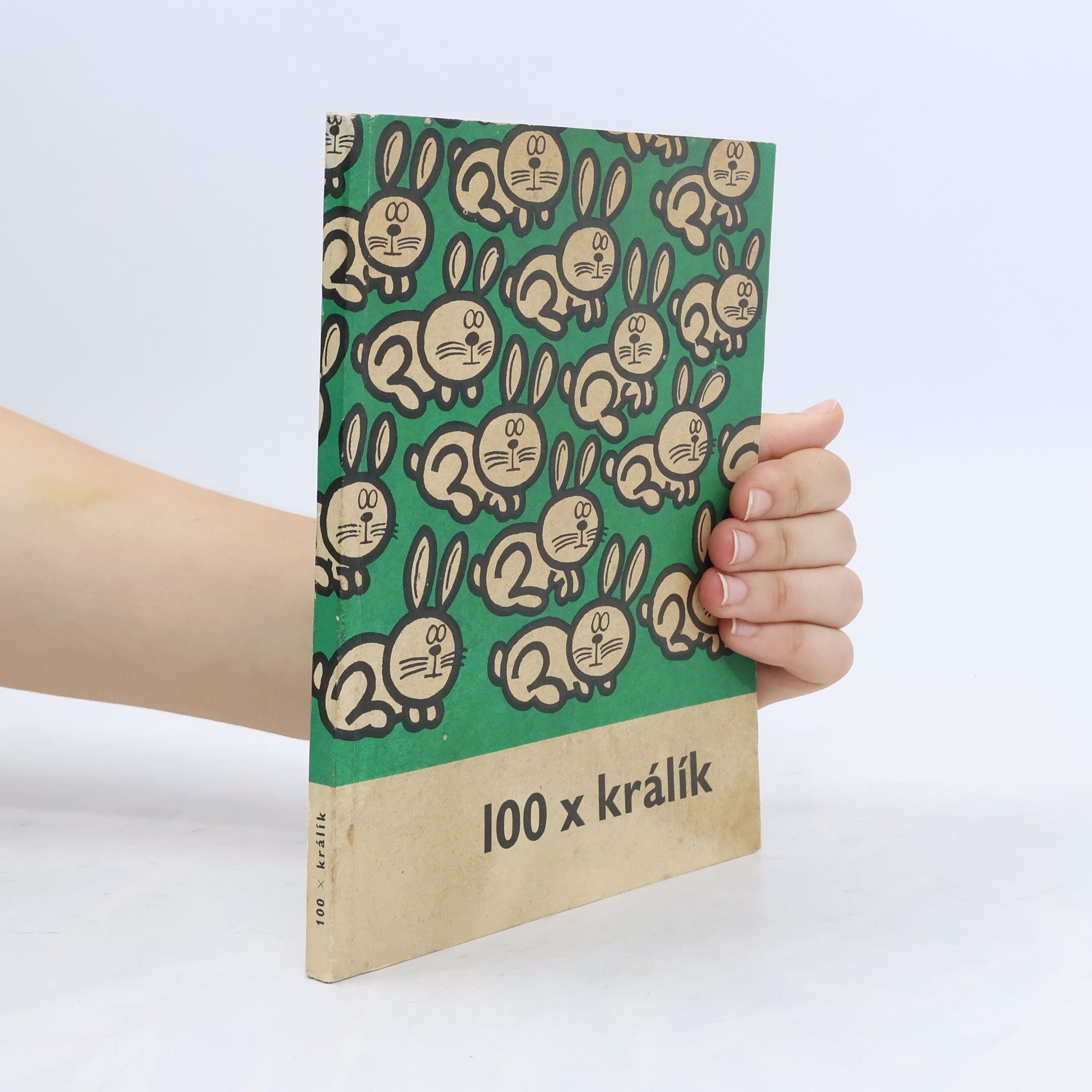 Kolektív autorov 100 × králík