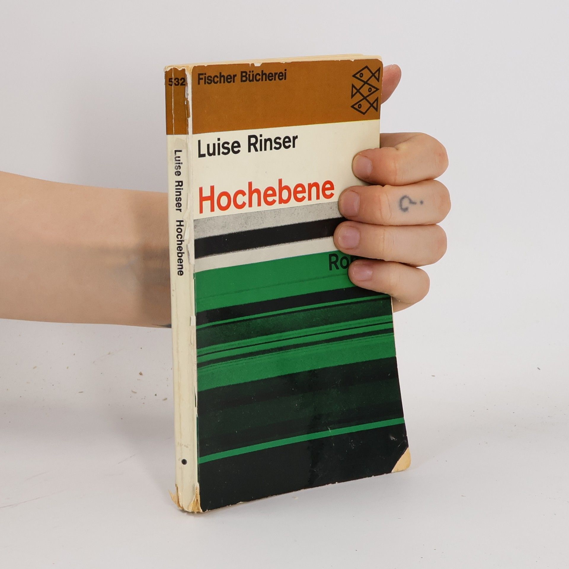 Luise Rinser Hochebene
