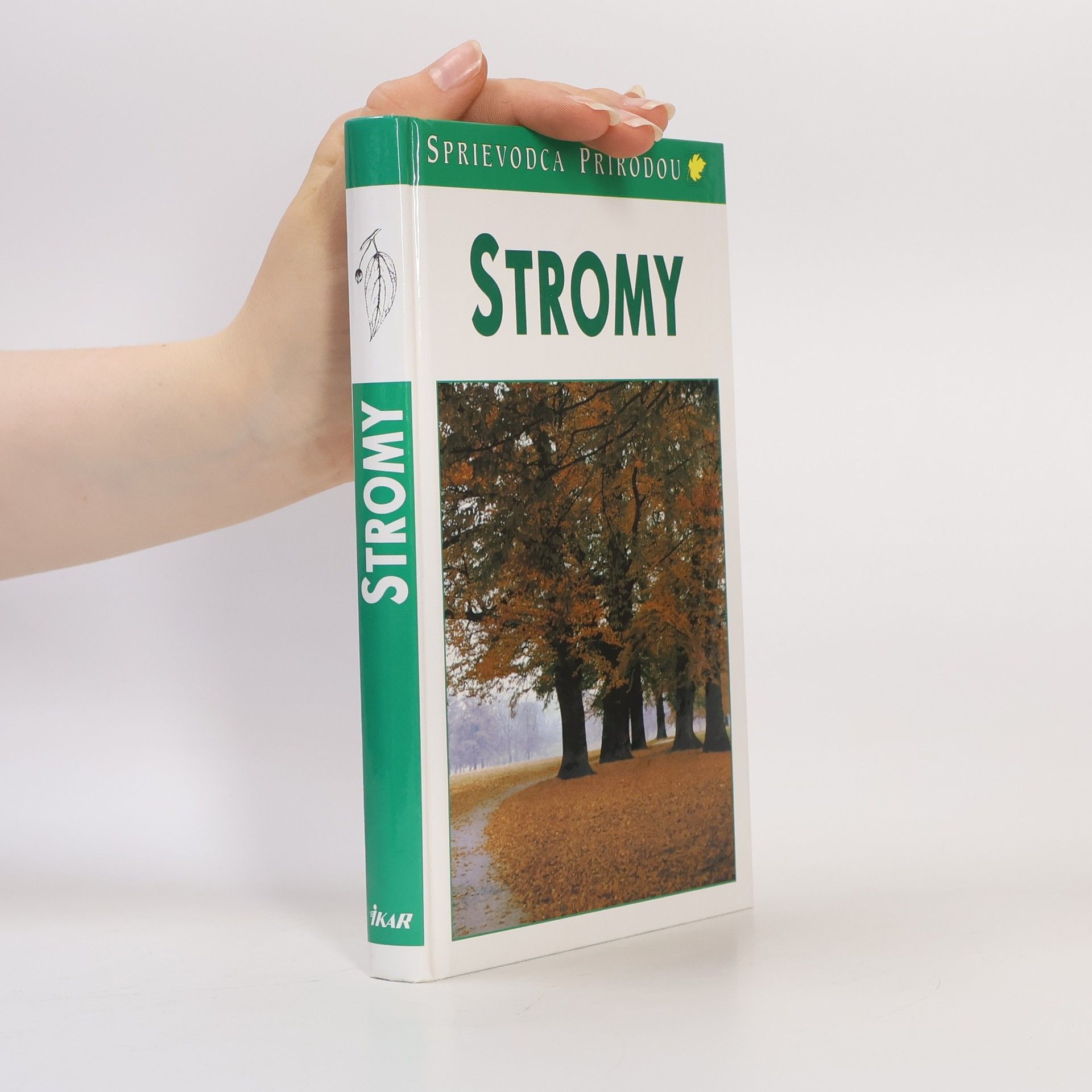 Autorenkollektiv Stromy