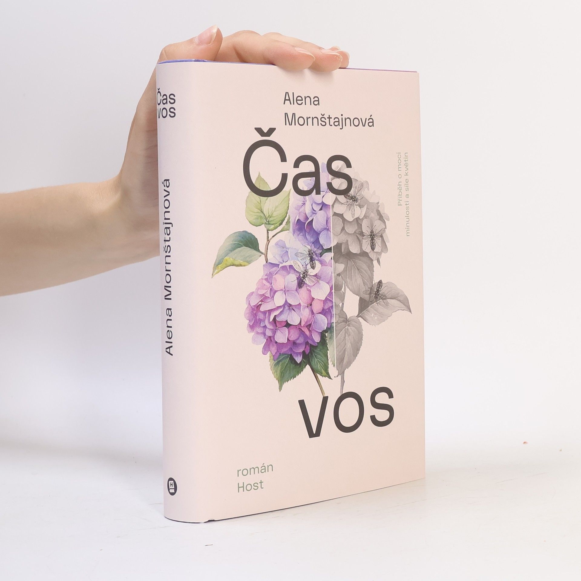Alena Mornštajnová Čas vos