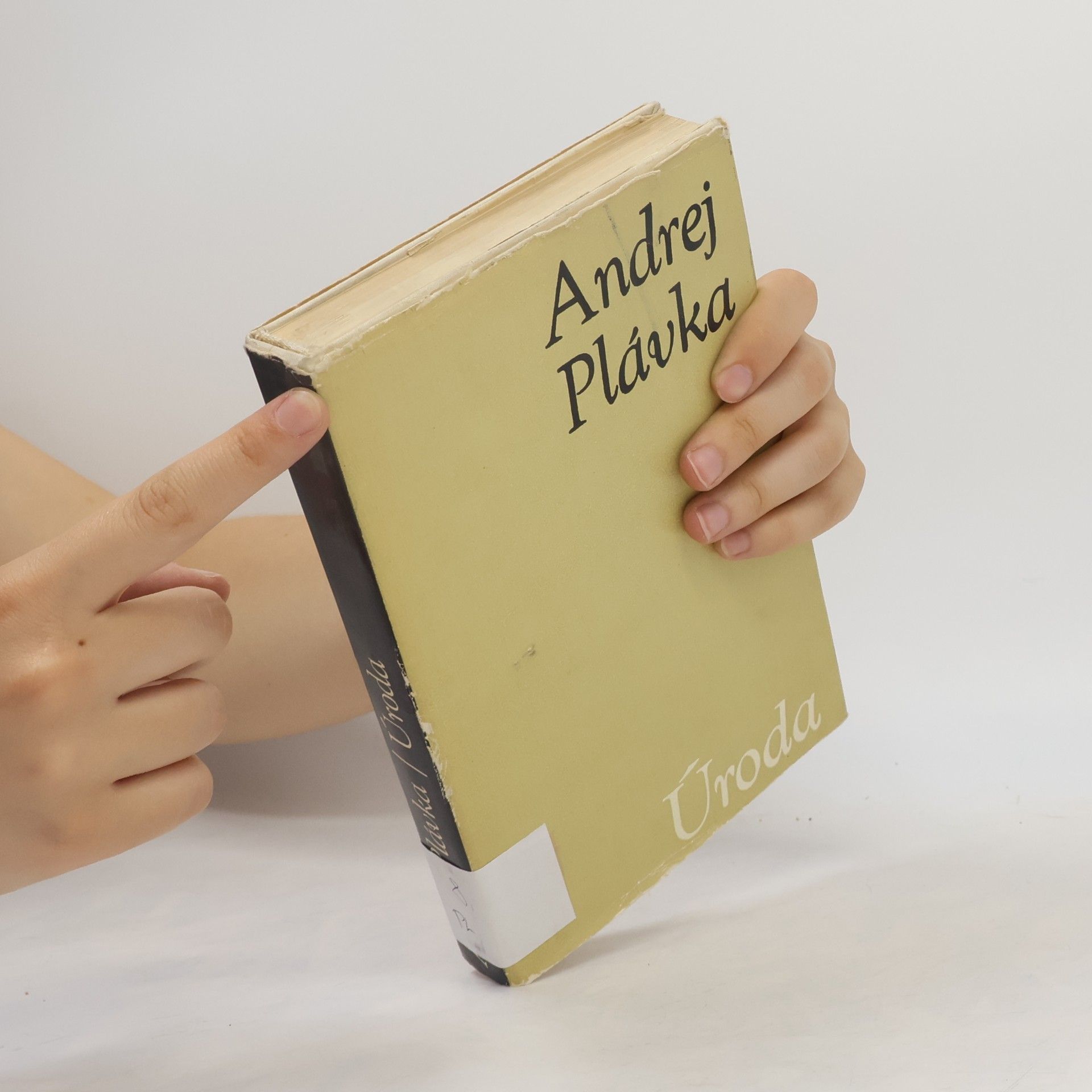 Andrej Plávka Úroda