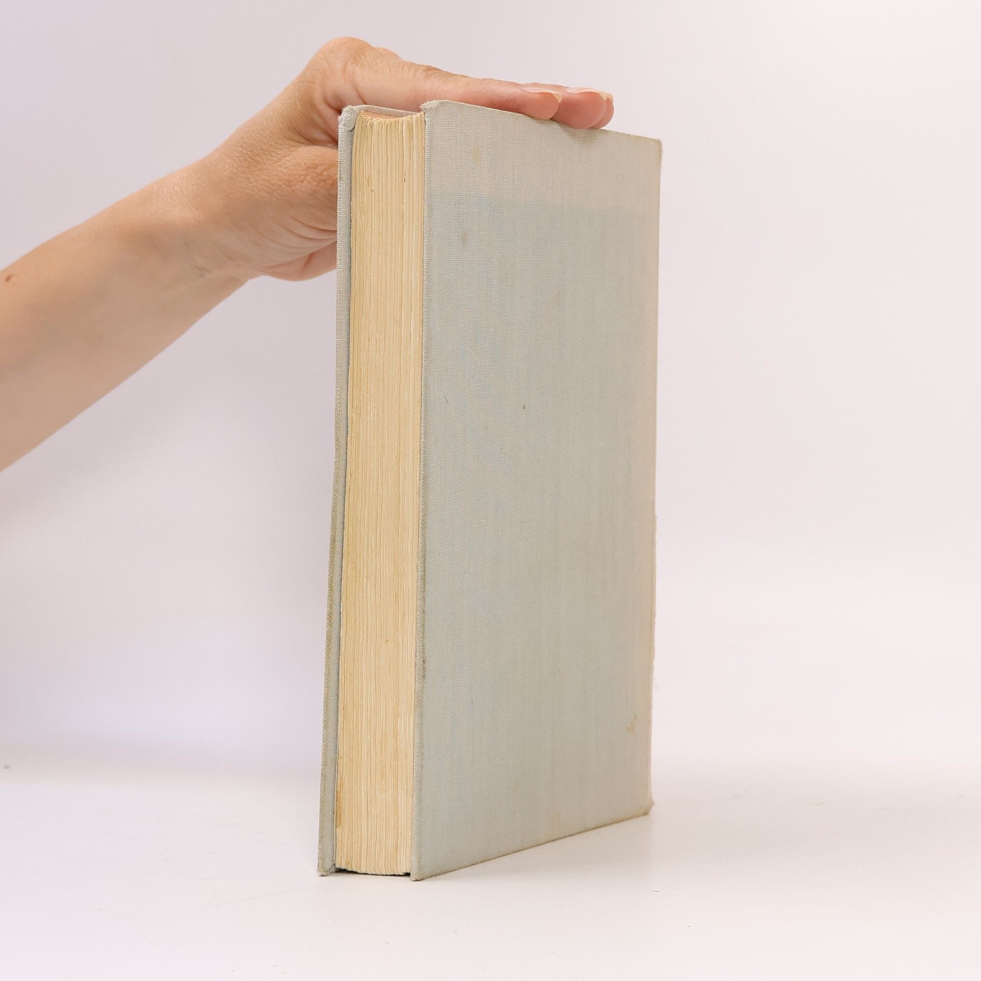 Karel Poláček Muži v offsidu
