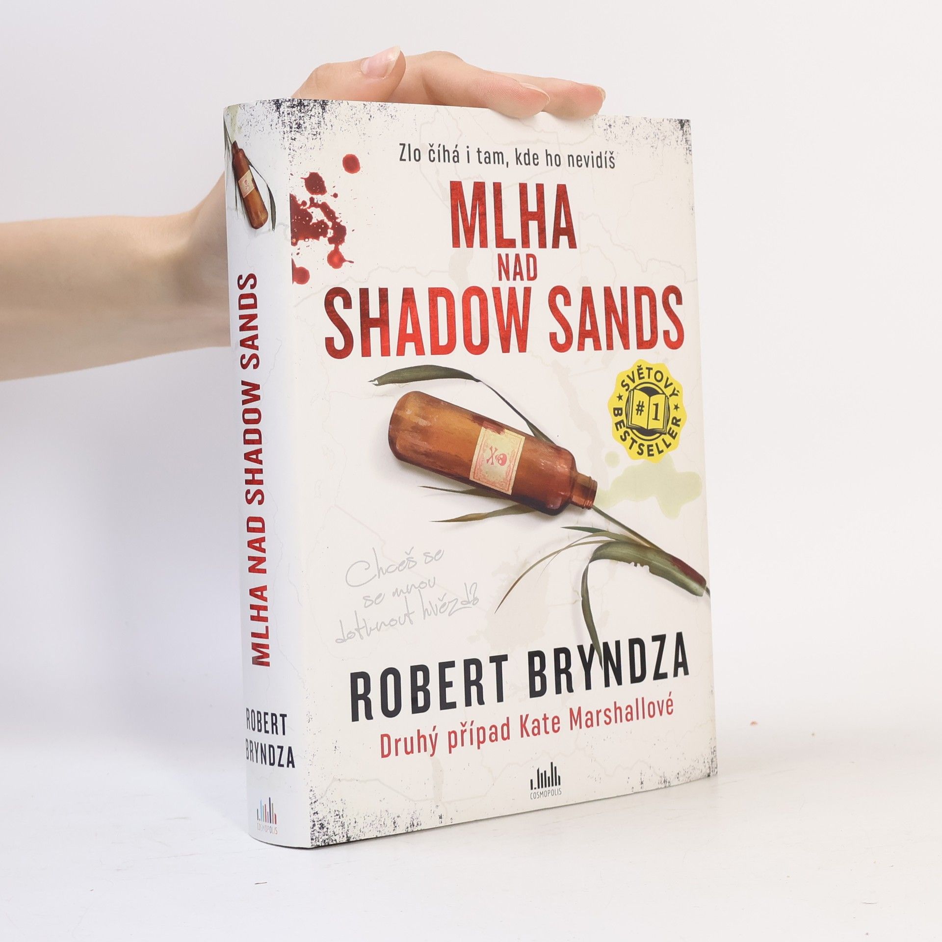 Robert Bryndza Mlha nad Shadow Sands