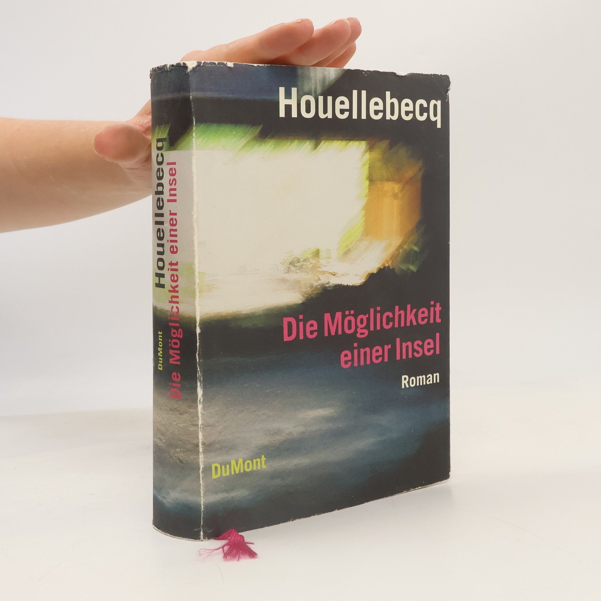 Michel Houellebecq Die Möglichkeit einer Insel