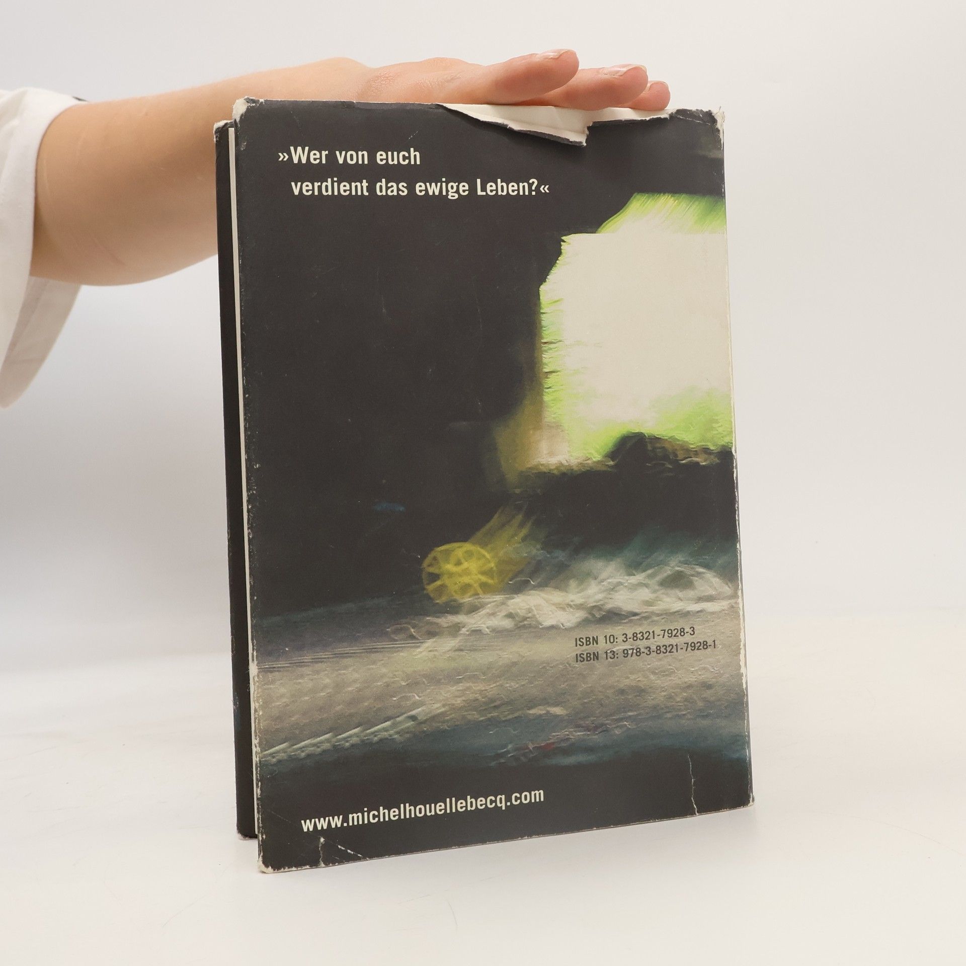 Michel Houellebecq Die Möglichkeit einer Insel