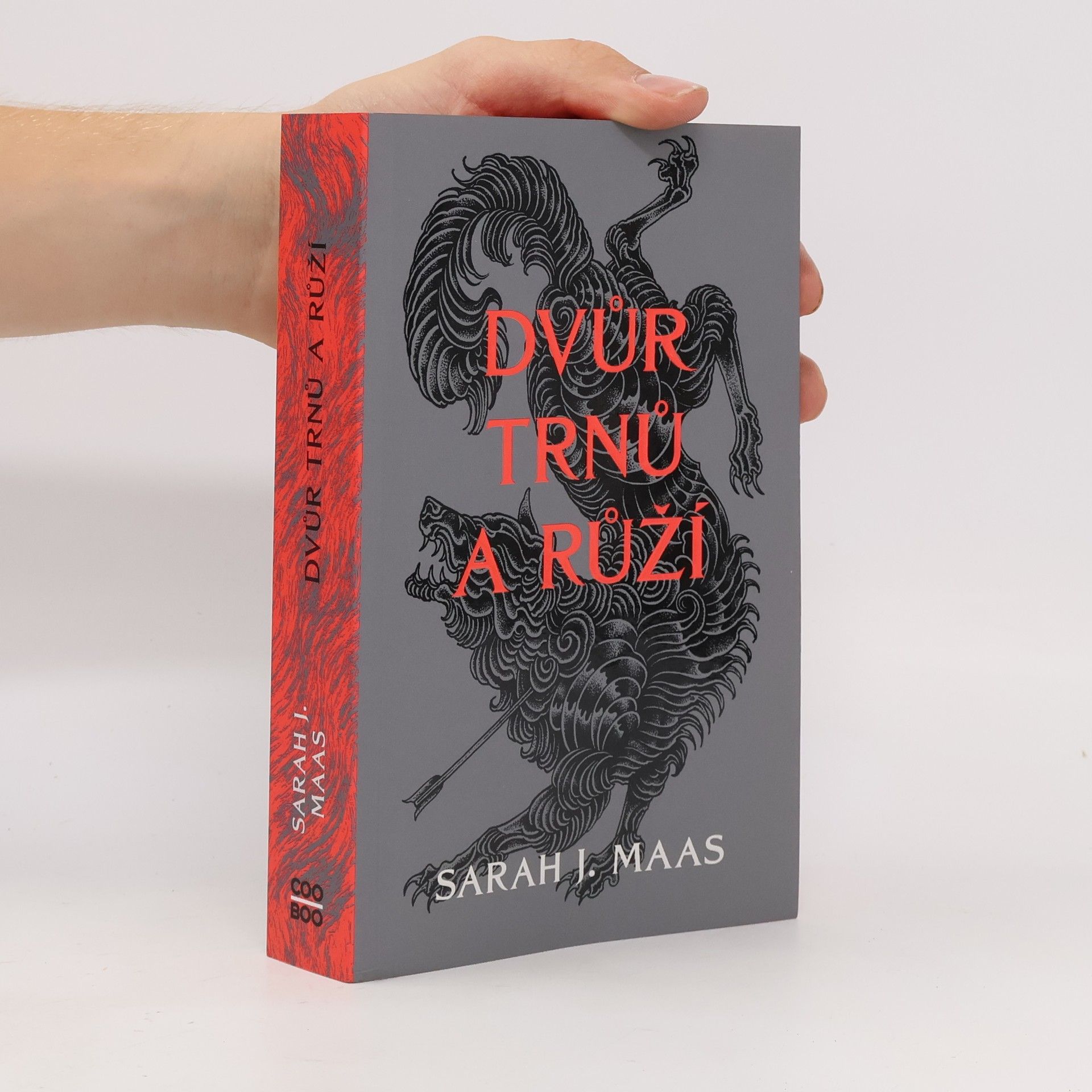 Sarah J. Maas Dvůr trnů a růží