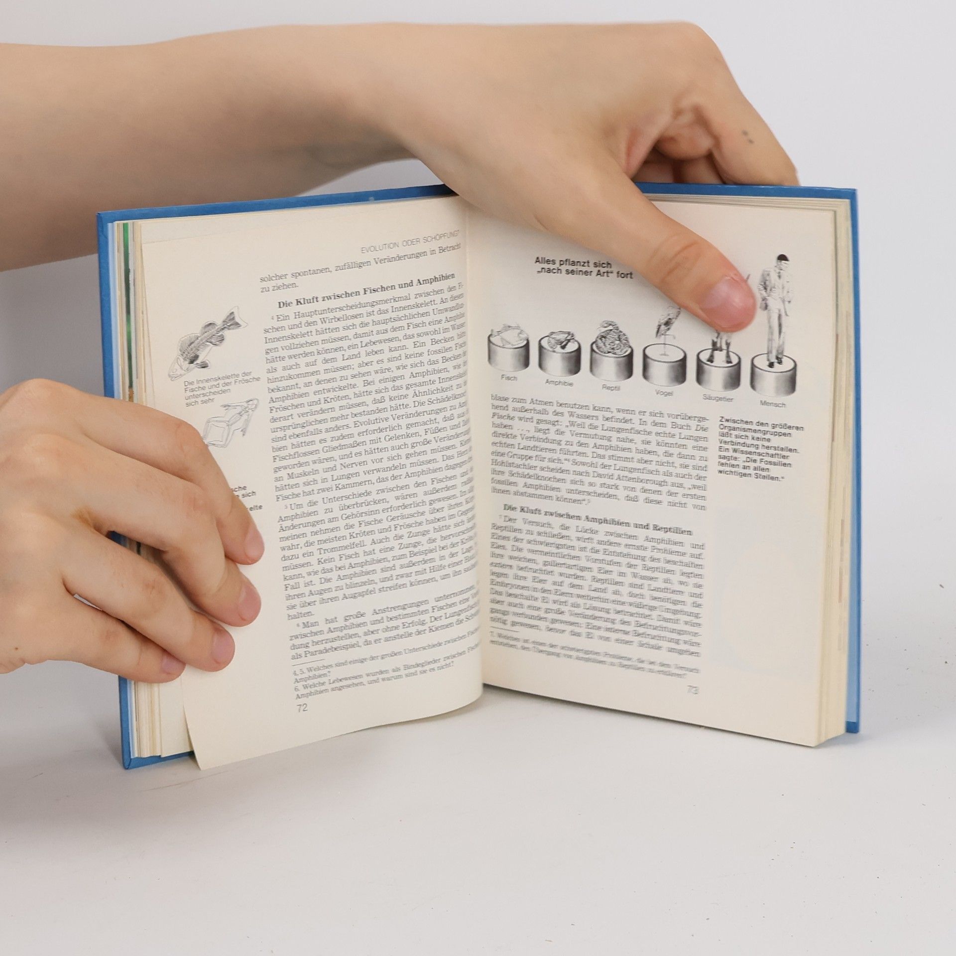 Autorenkollektiv Das Leben. Wie ist es entstanden?