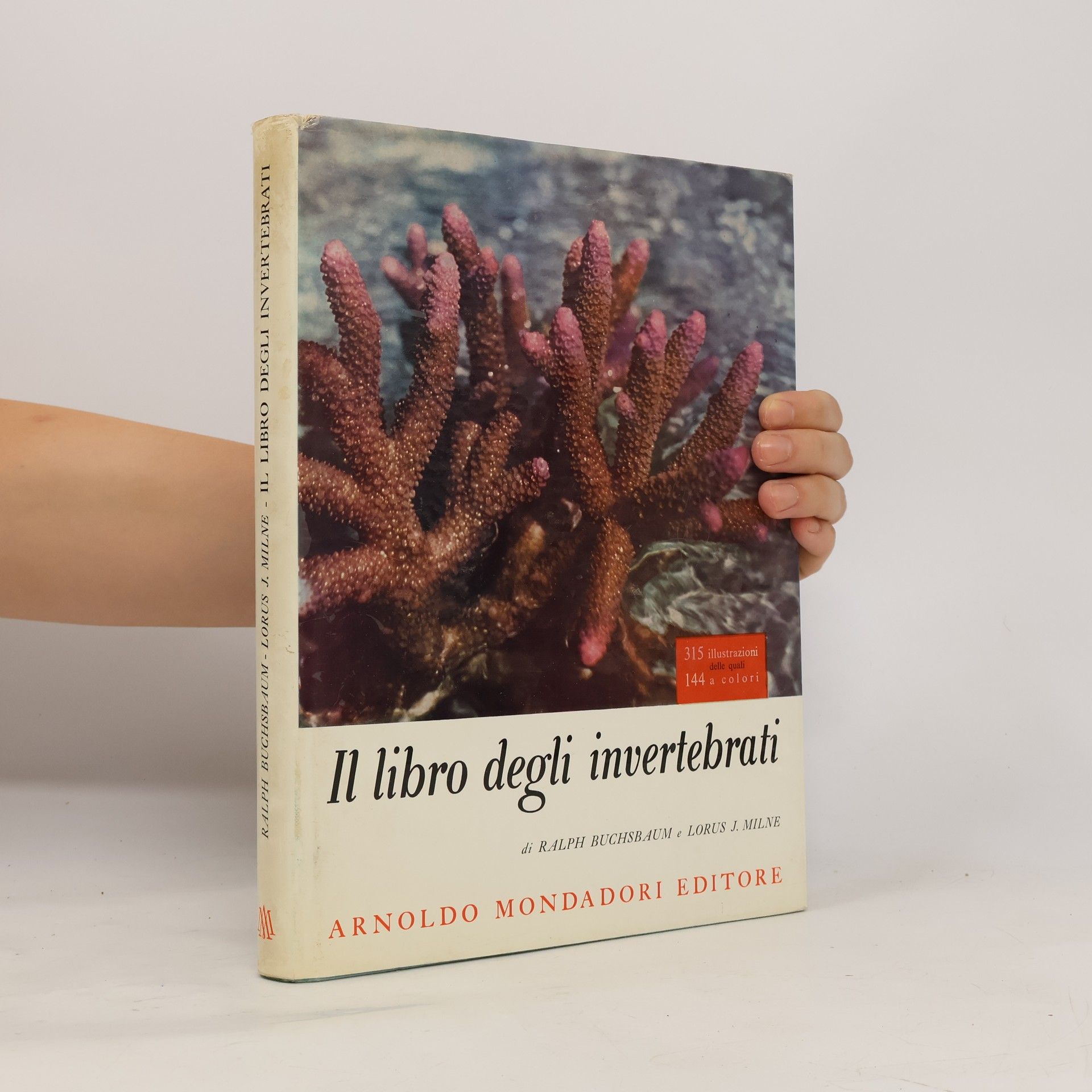 Lorus J. Milne Il libro degli invertebrati