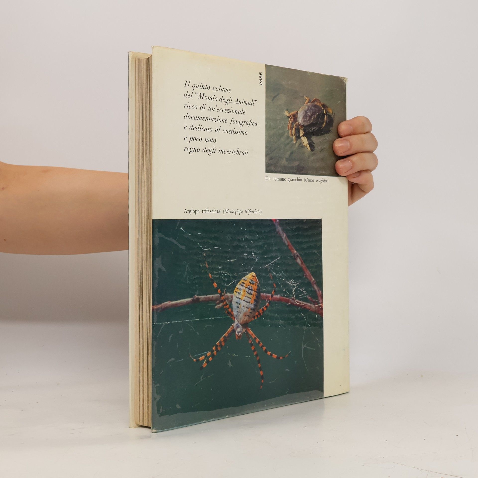 Ralph Buchsbaum Il libro degli invertebrati