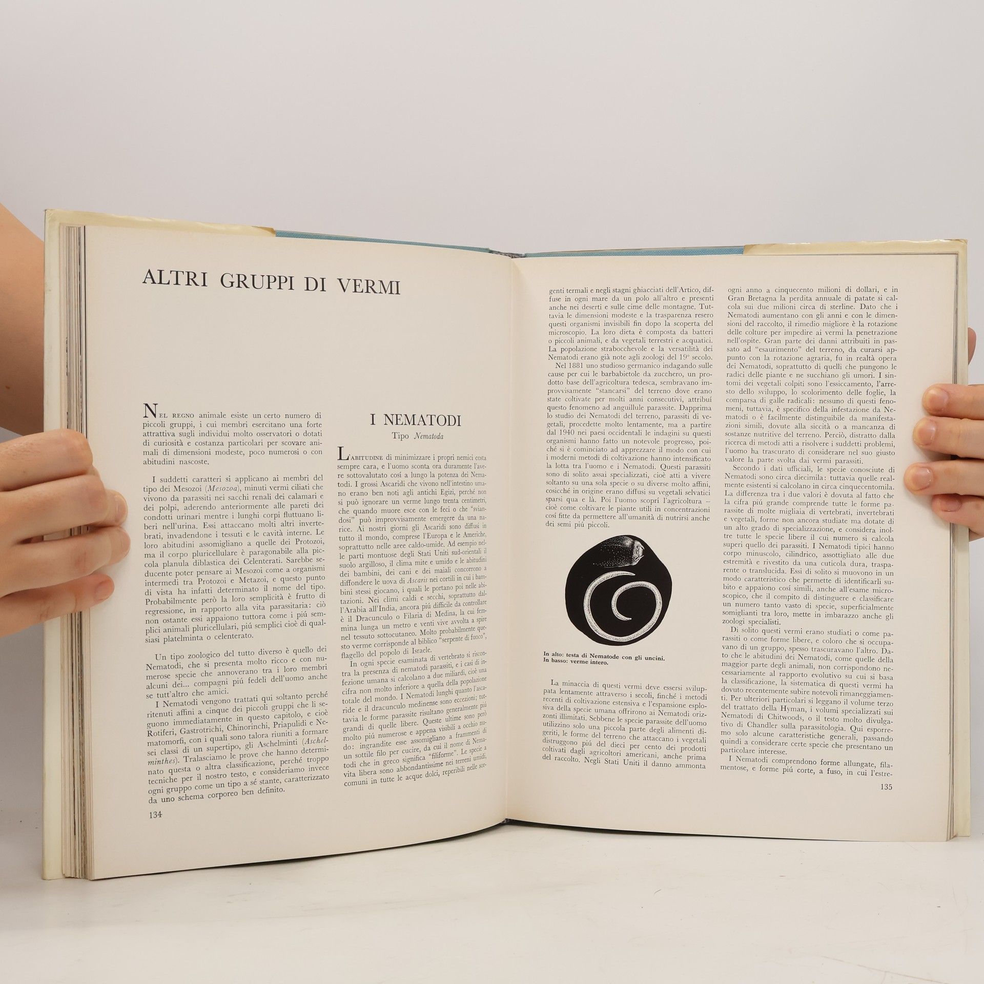 Ralph Buchsbaum Il libro degli invertebrati