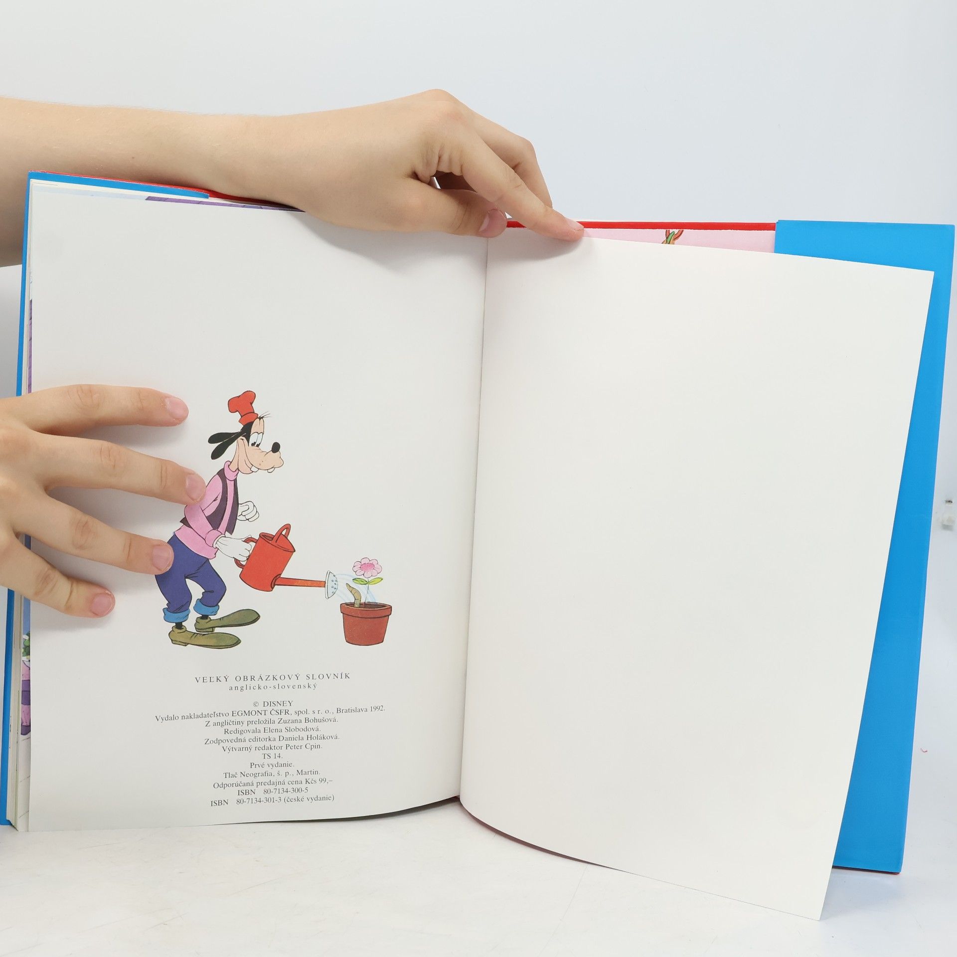 Walt Disney Veľký obrázkový slovník nemecko - slovenský