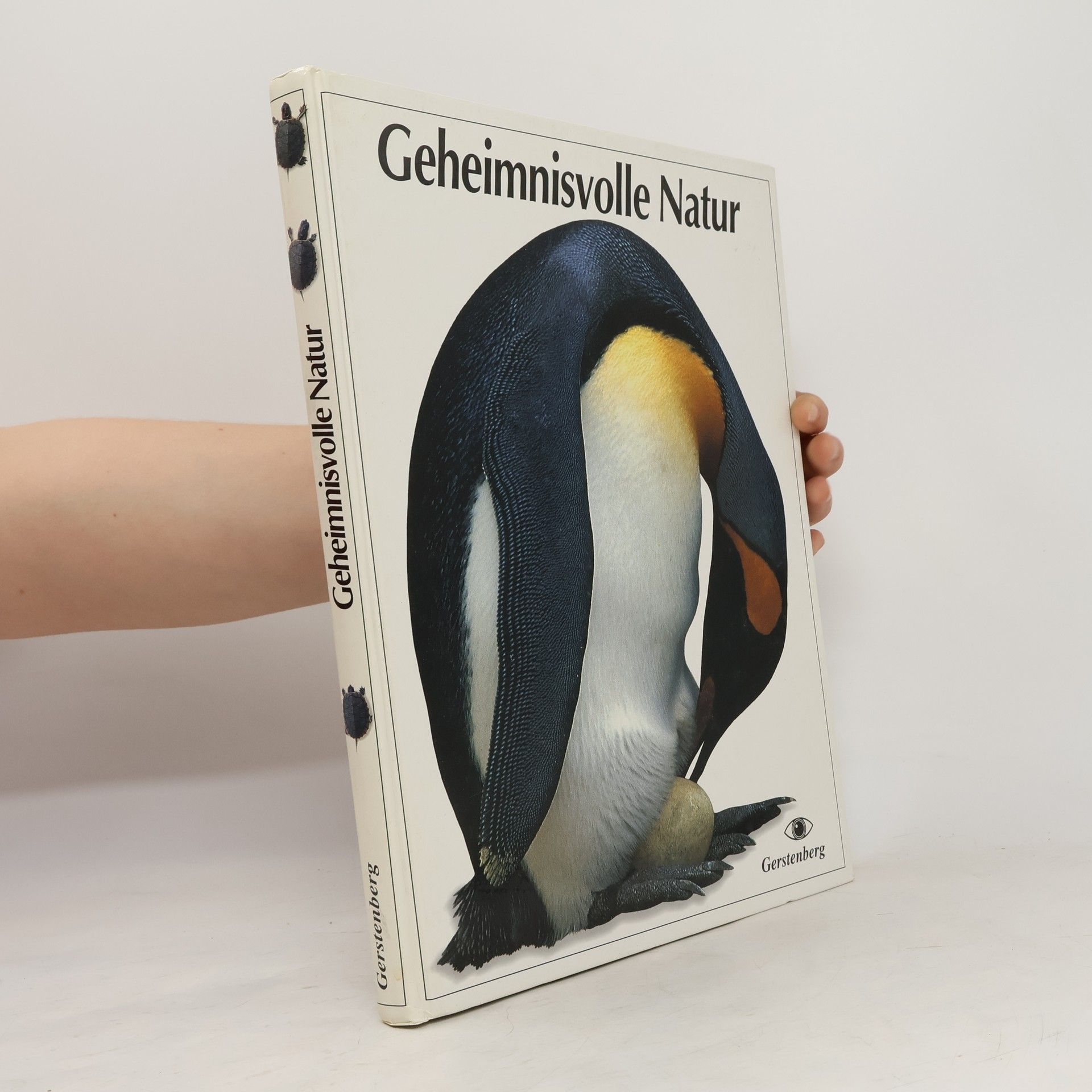 Margot Wilhelmi Geheimnisvolle Natur