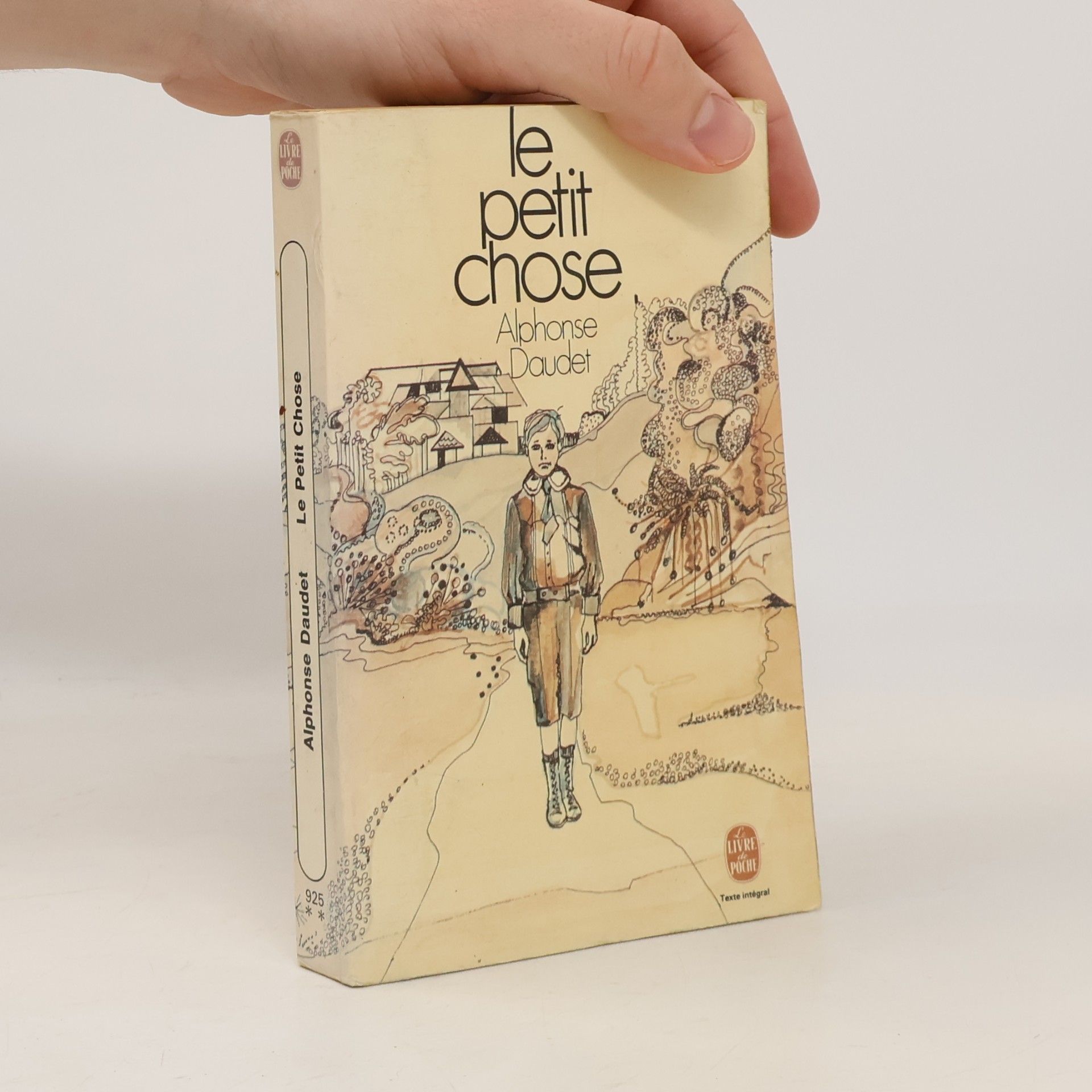 Paul Guth Le Petit Chose: histoire d'un enfant